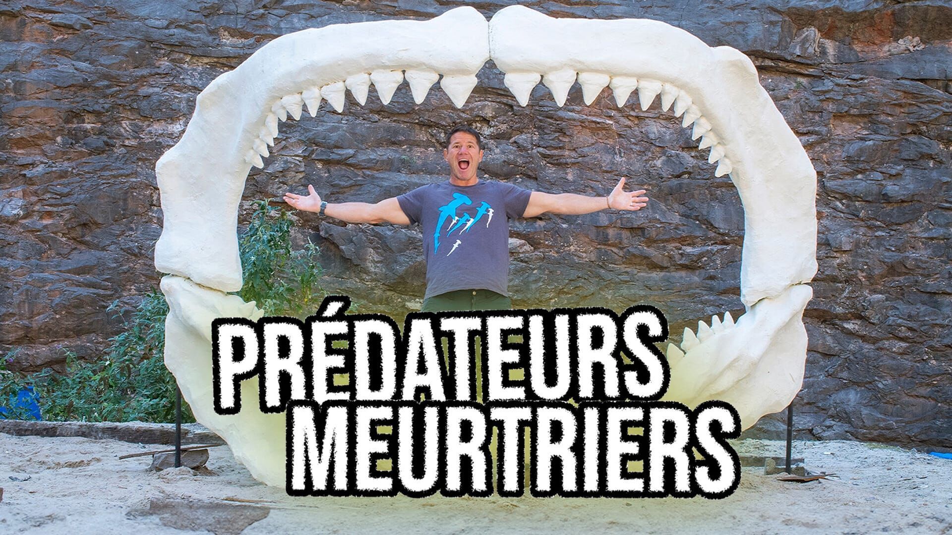 Les requins