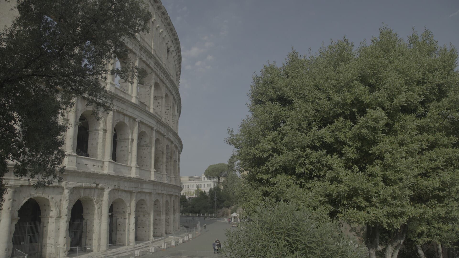 Les gladiateurs du Colisée perdu