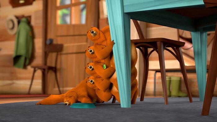 Fraction d'ours