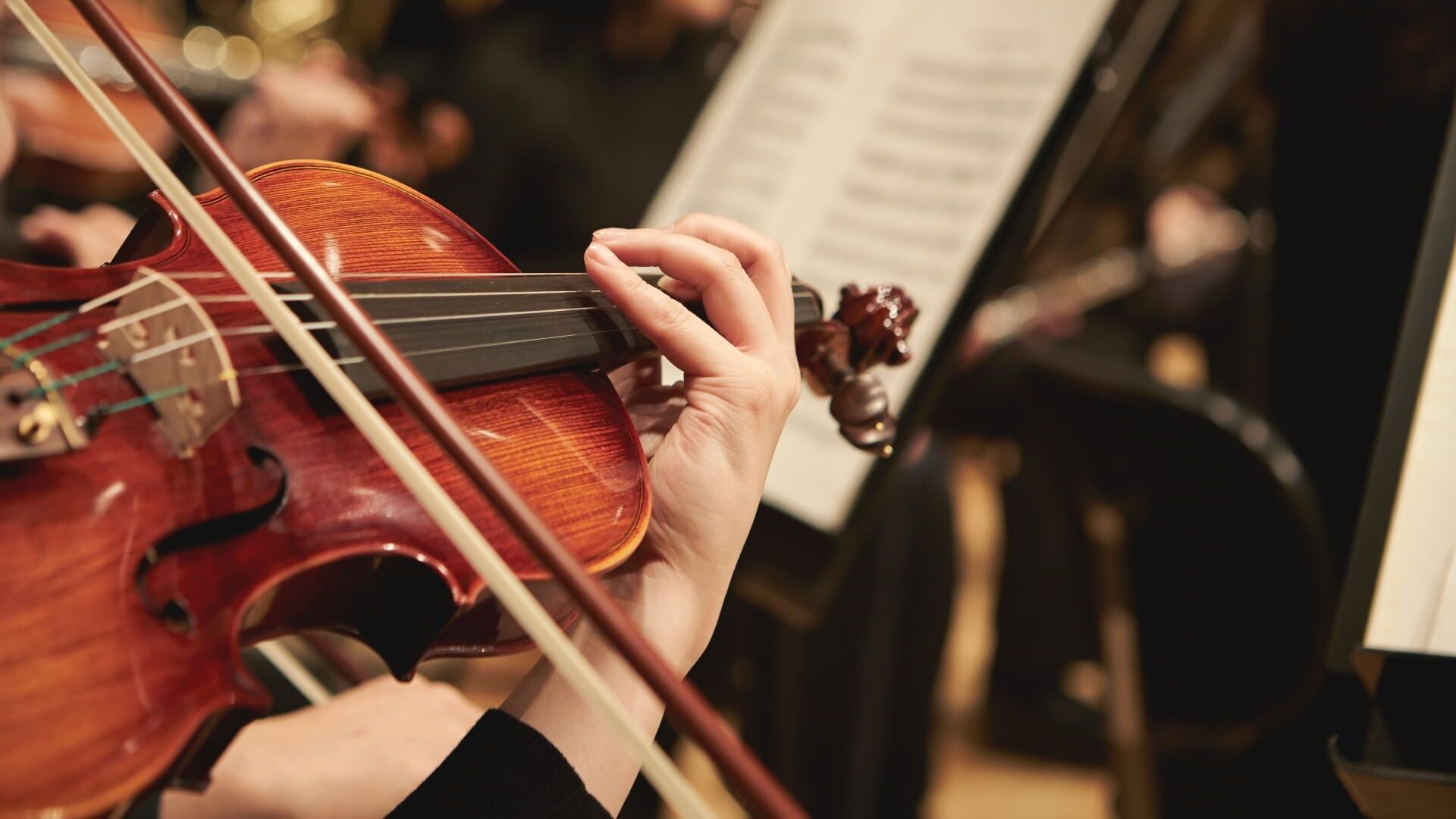 Violin Concerto in D major "Grosso Mogul" | Allegro