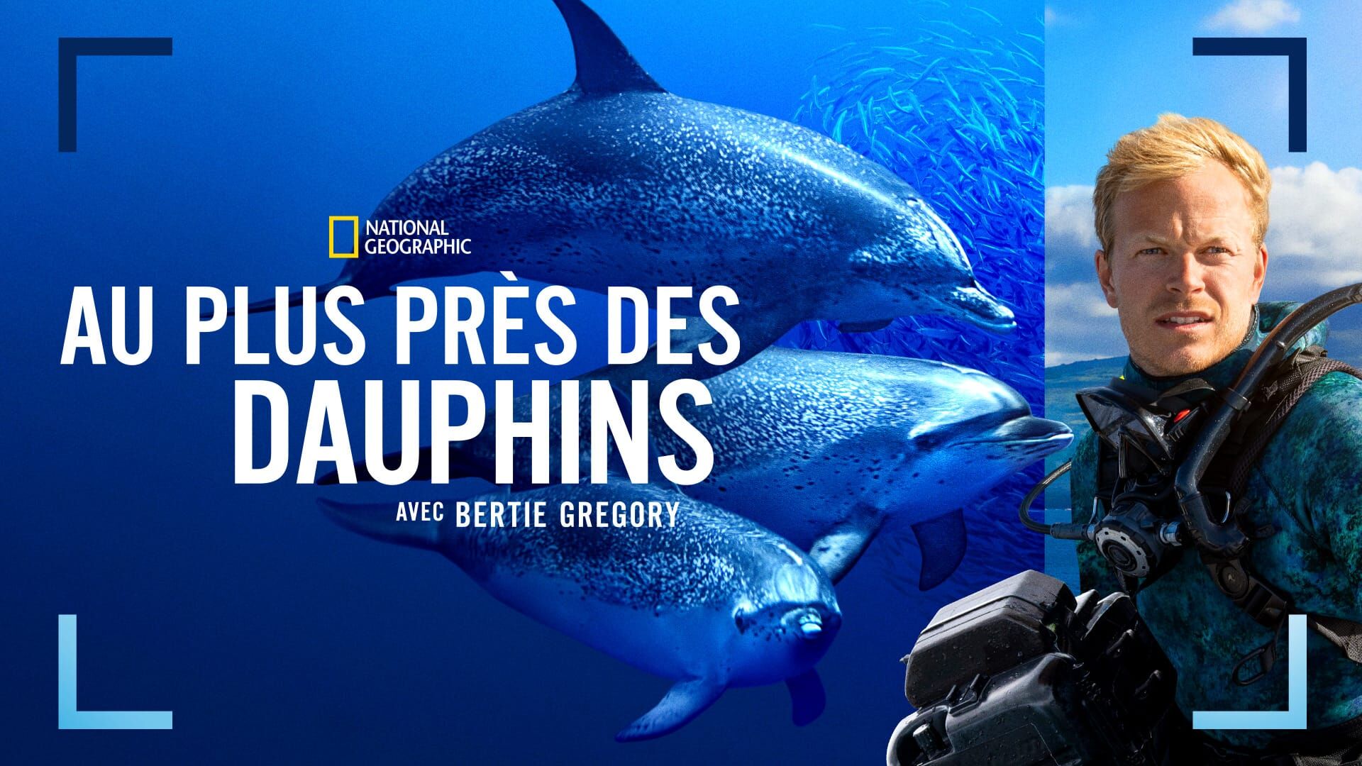 Au plus près des dauphins avec Bertie Gregory