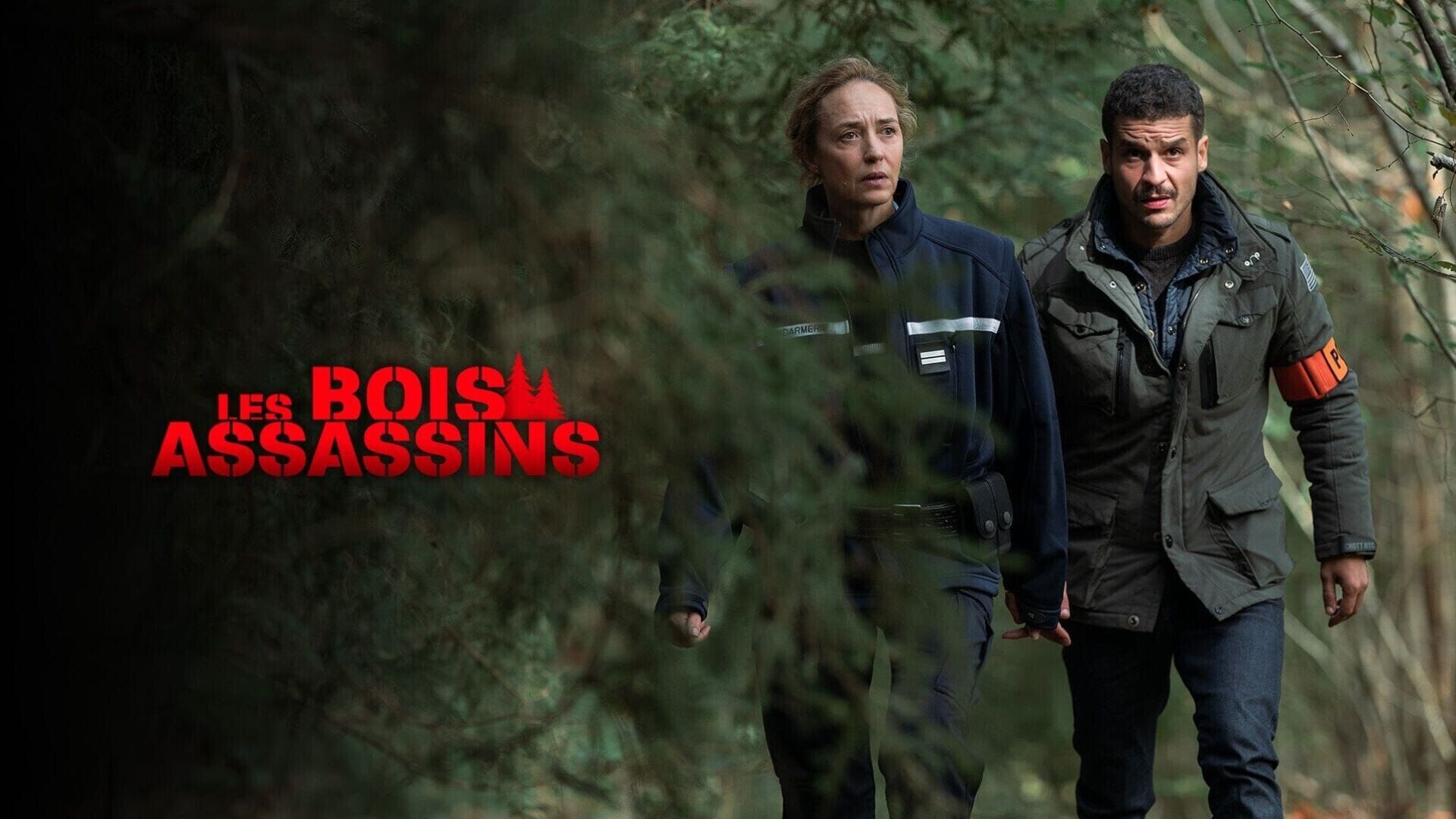 Les bois assassins
