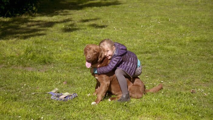 Ces animaux qui nous soignent