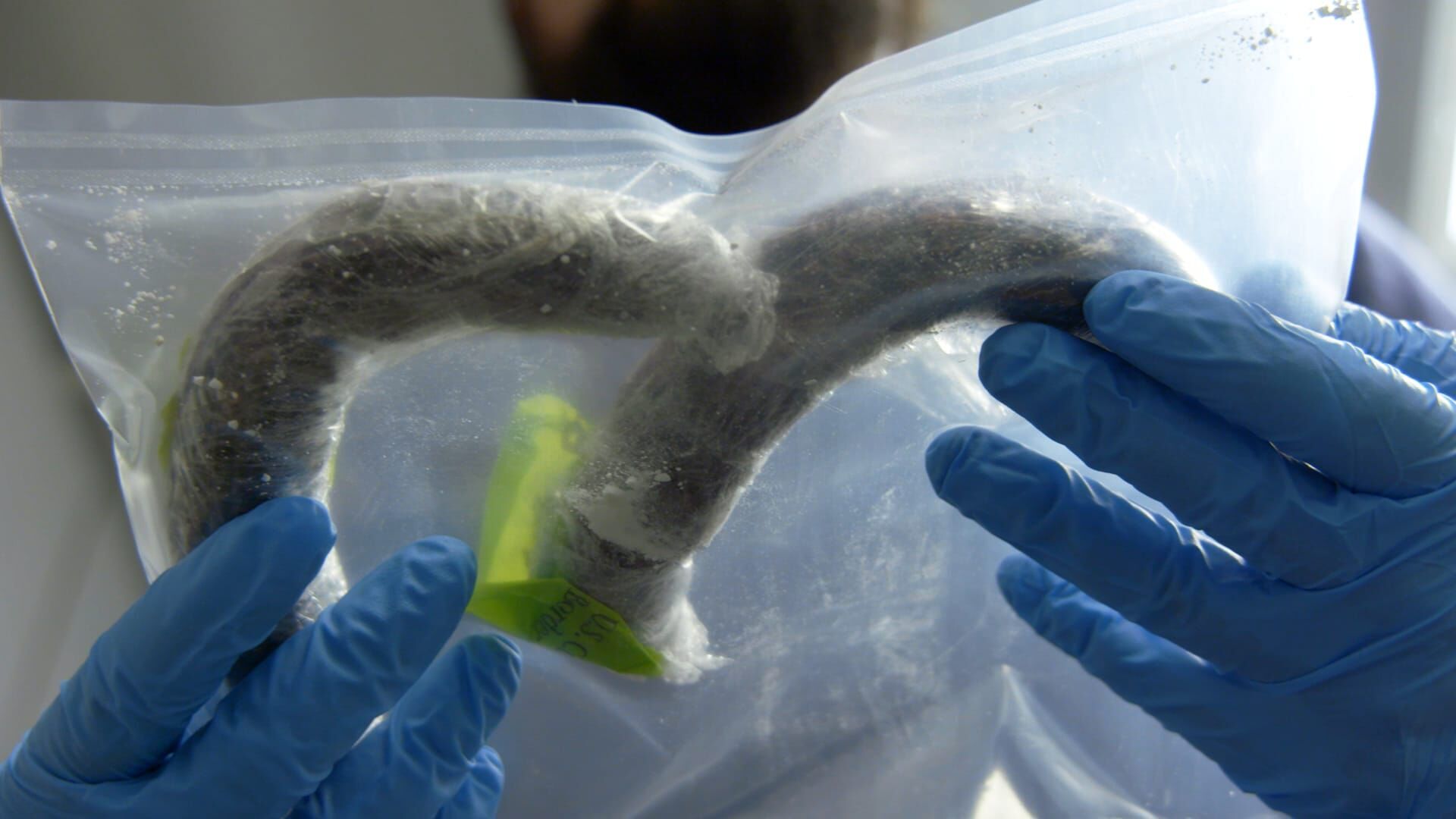 Cocaïne en saucisse