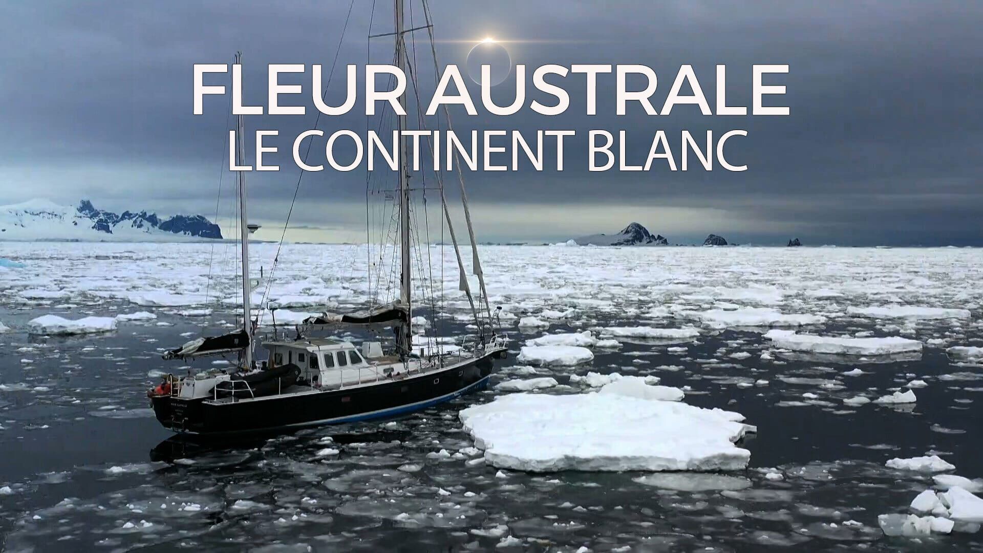 Fleur Australe, le continent blanc