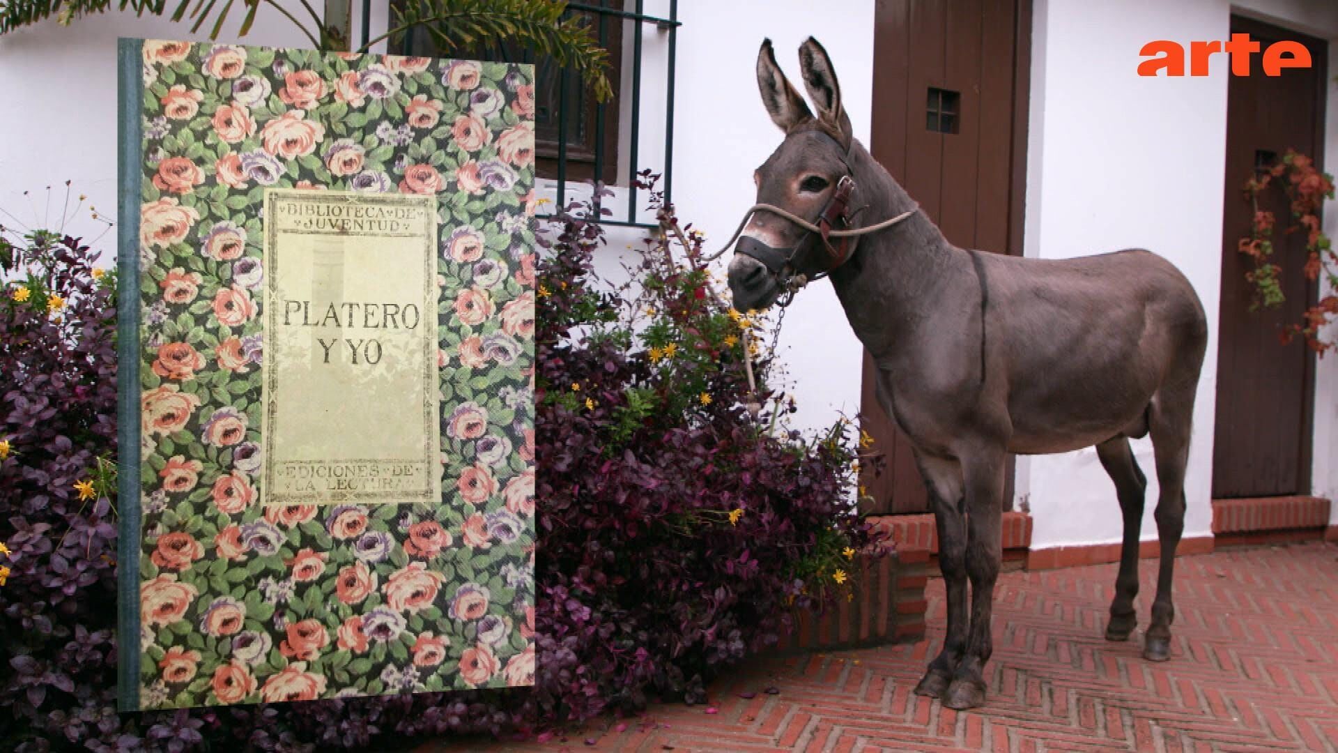 Invitation au voyage