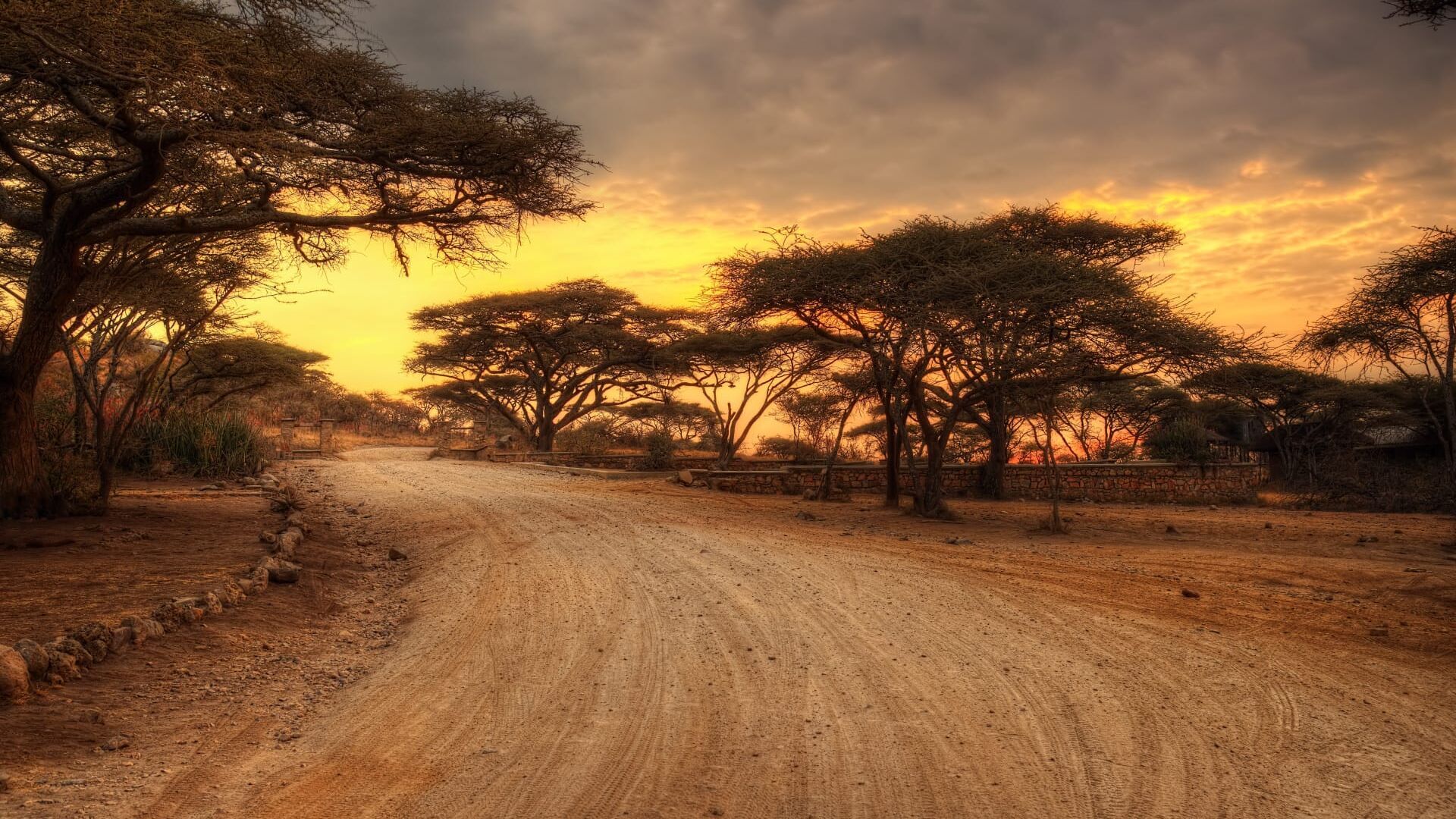 Ethiopia's electric vehicle revolution