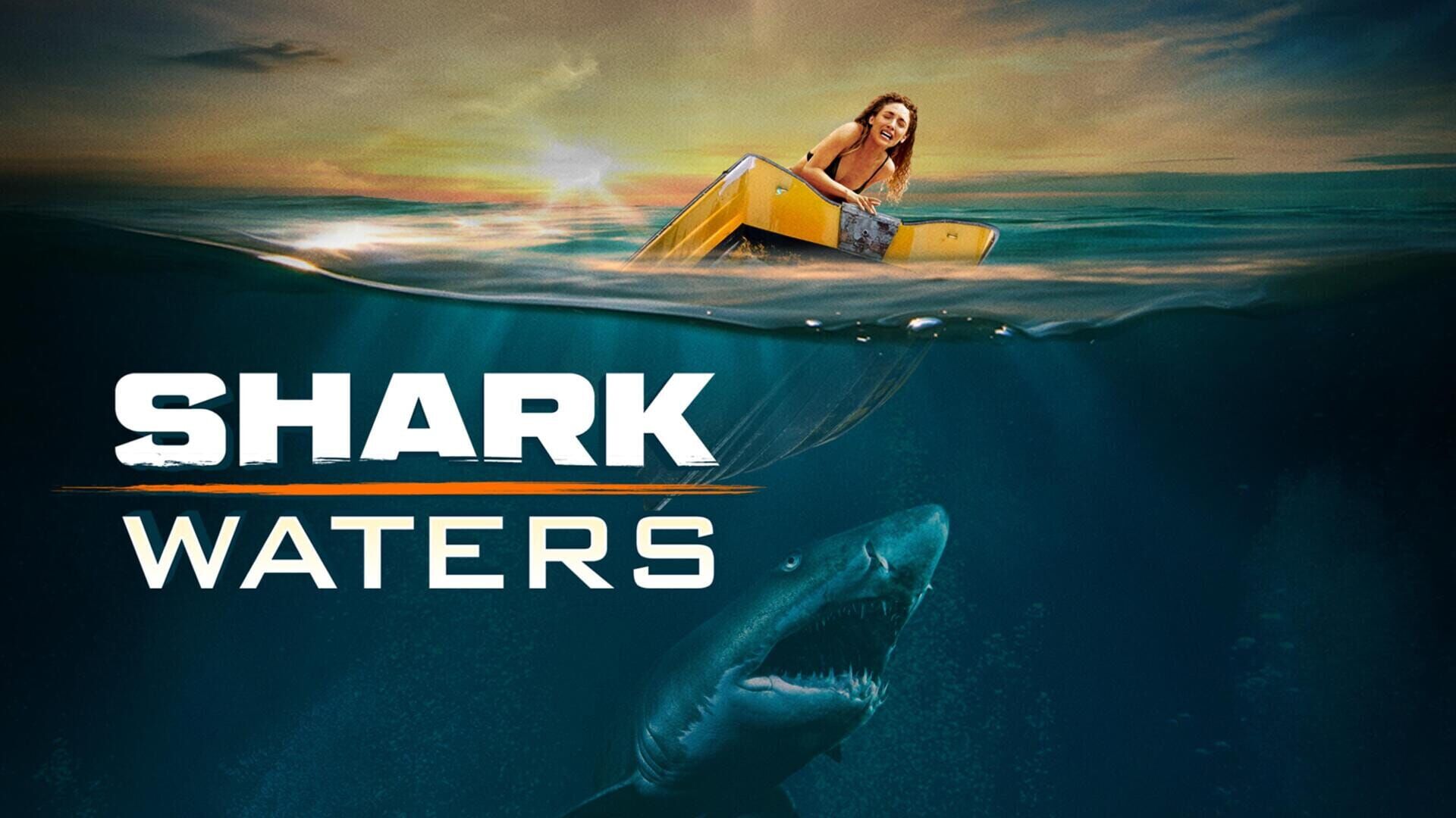 Shark Waters