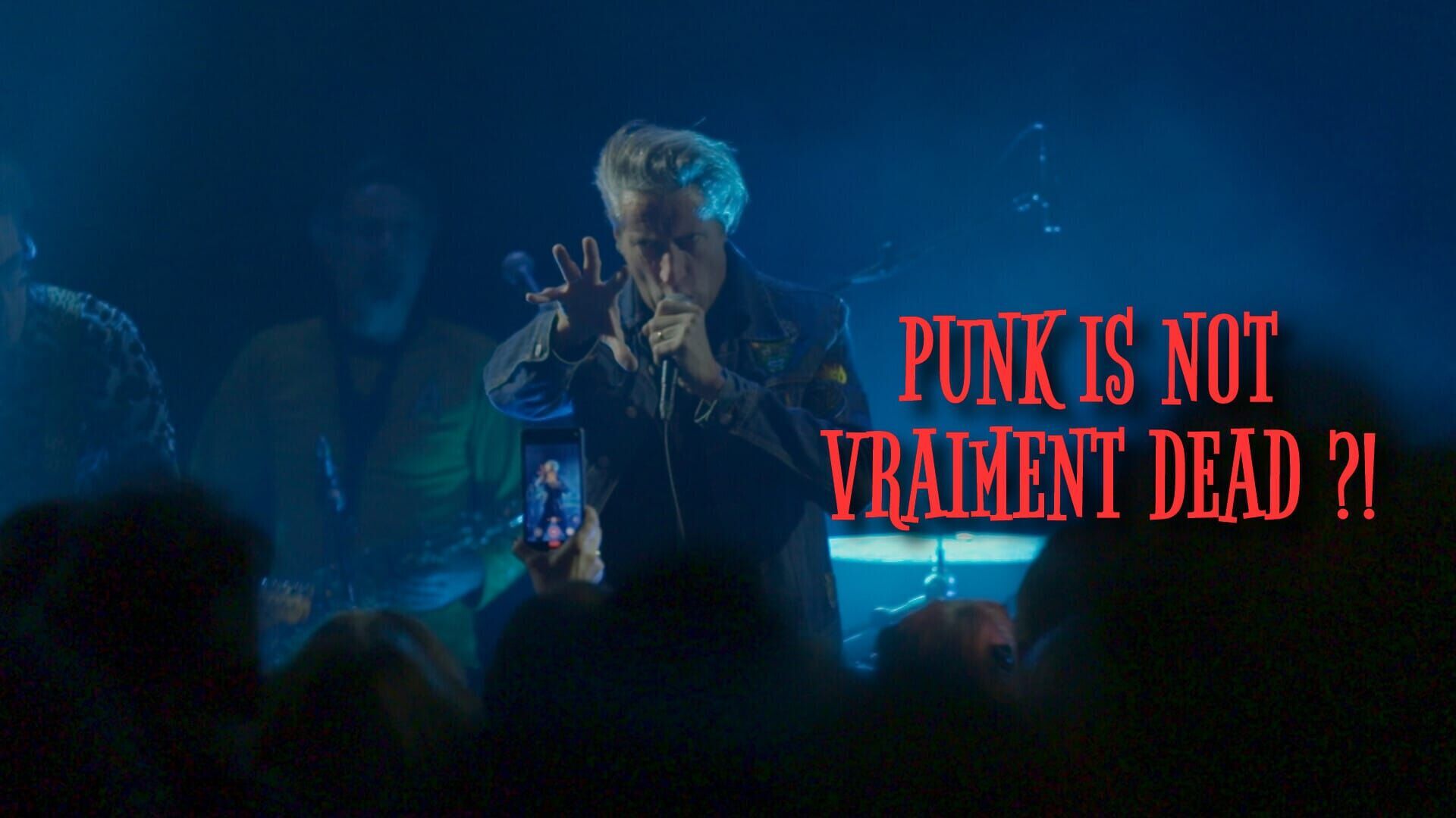 Punk is not vraiment dead ?!