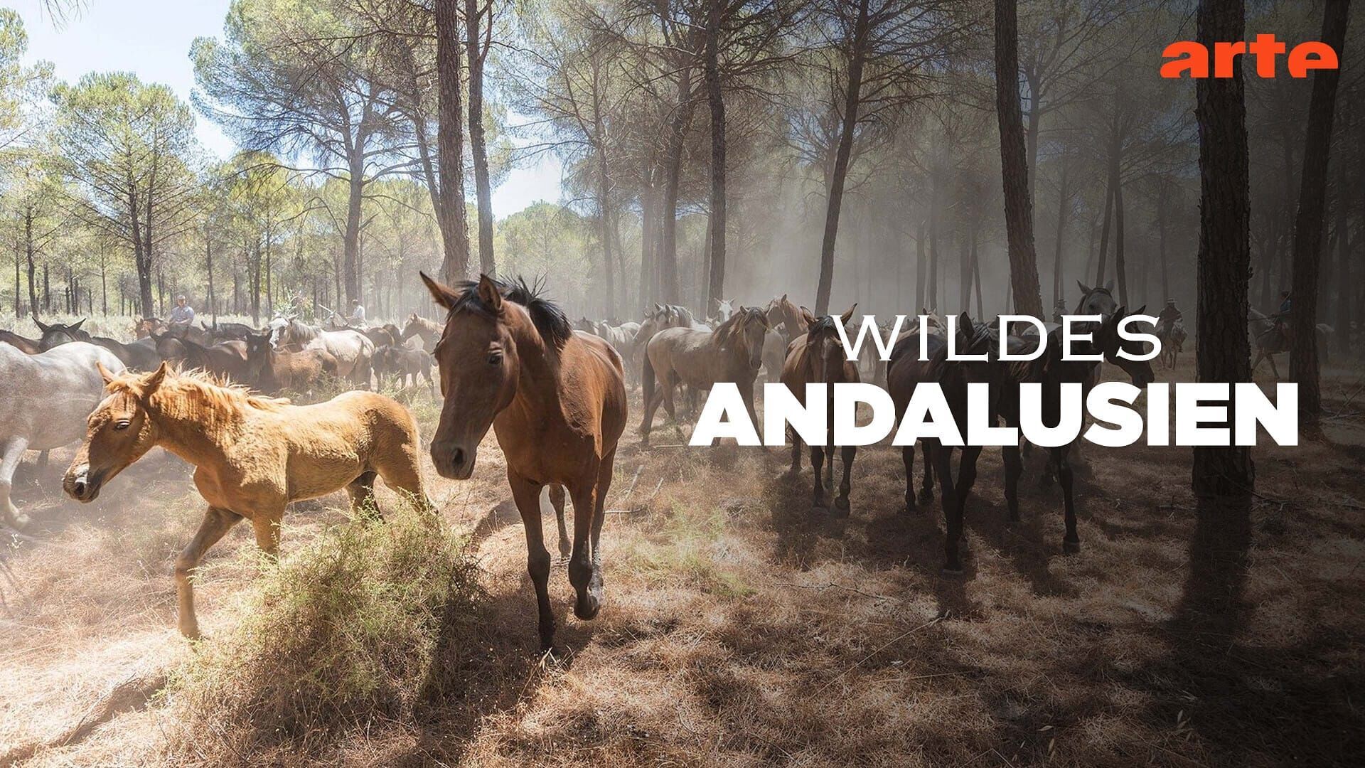 L'Andalousie sauvage