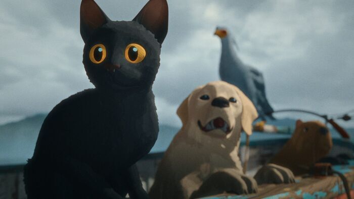 Flow, le chat qui n'avait plus peur de l'eau