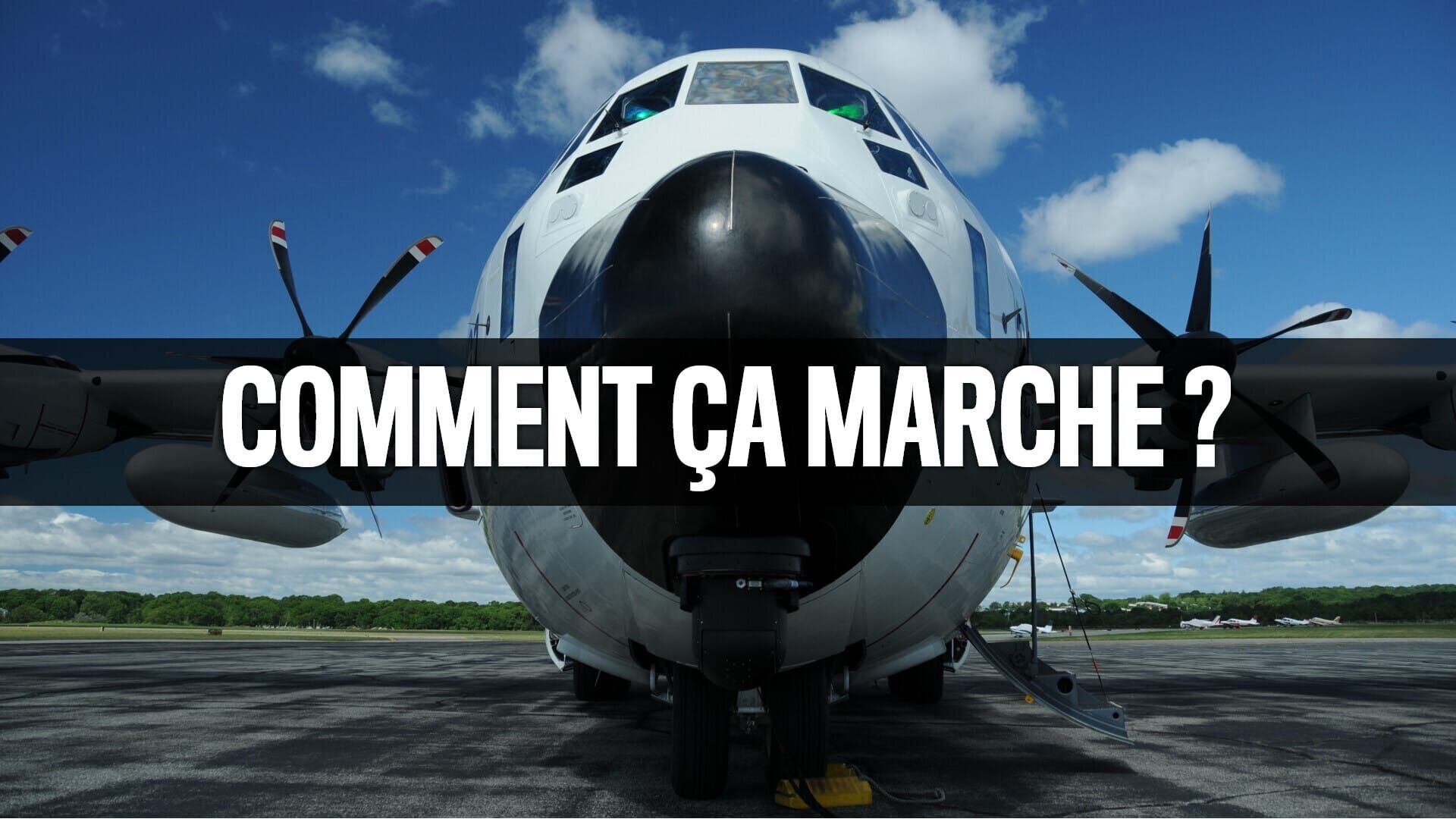 Nori Seaweed, Beer Bottles and Shark Repellant