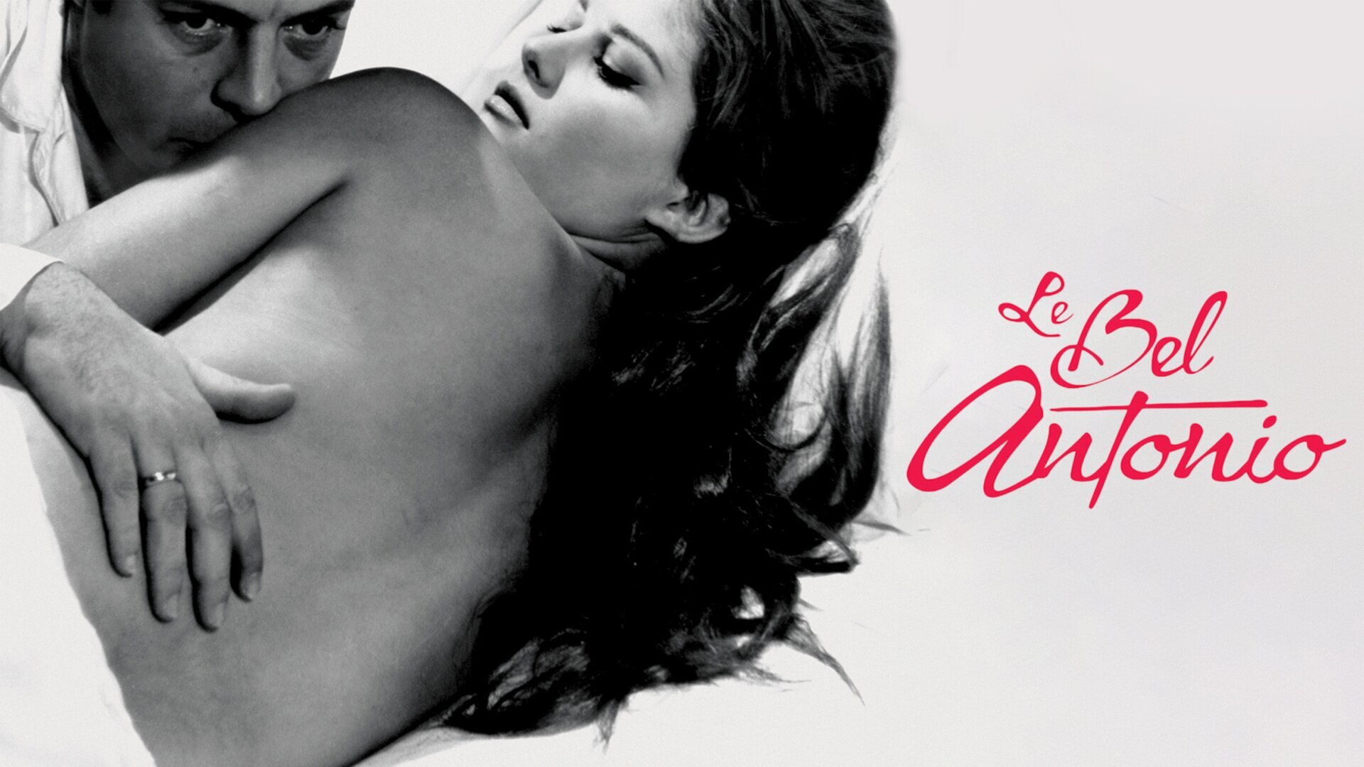 Le bel Antonio