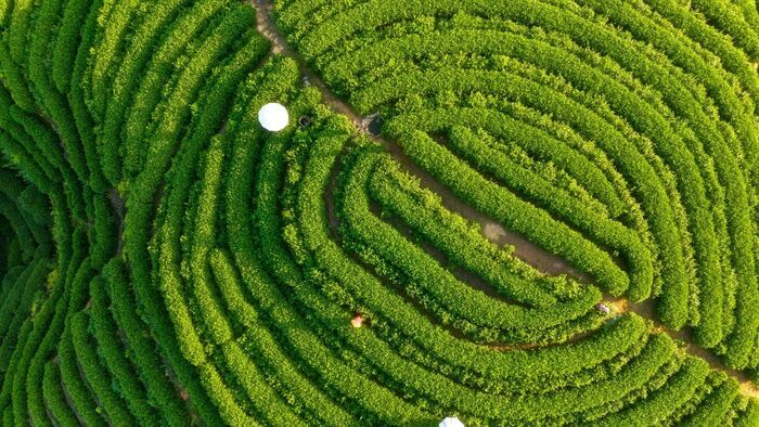 Une nature précieuse