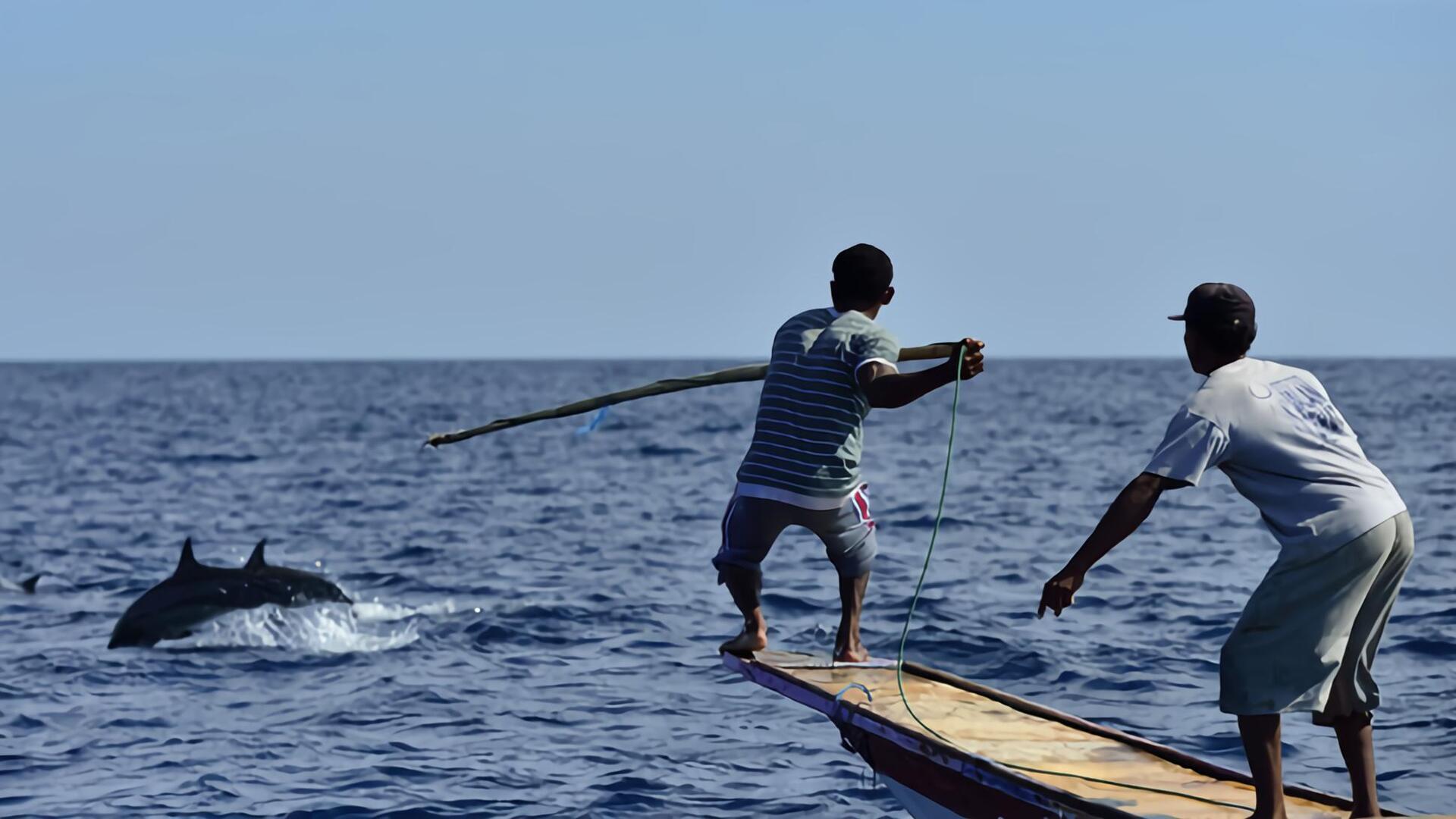 La chasse aux cachalots