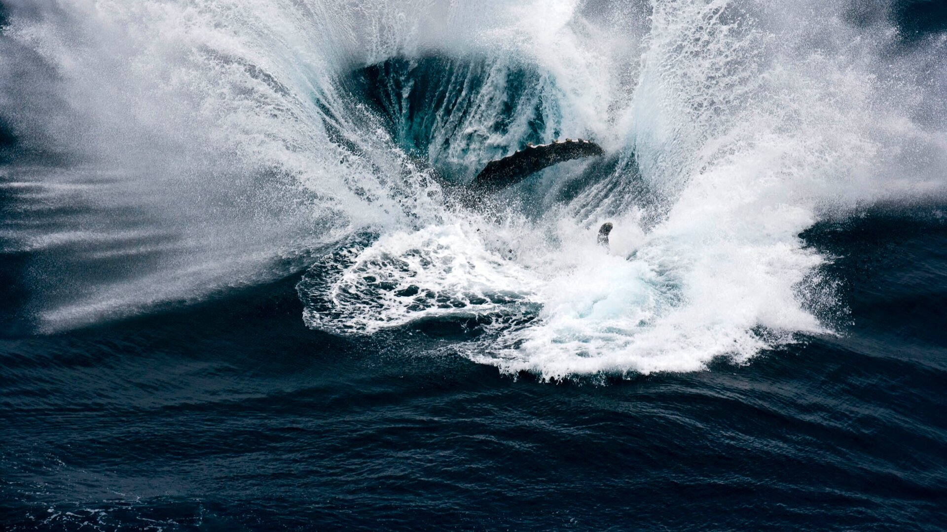 La mer a besoin de nous comme nous avons besoin de la mer (2/2)