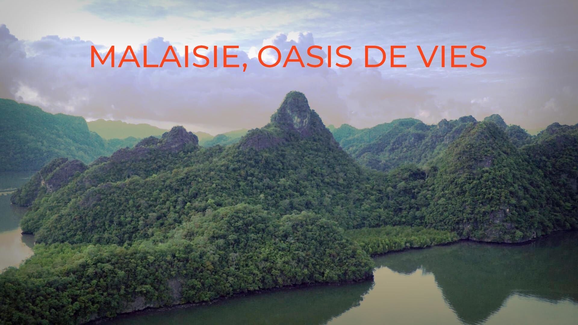 Malaisie, oasis de vies