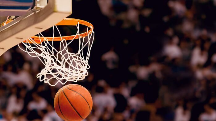 Basket-ball : Match de préparation à l'EuroBasket 2025