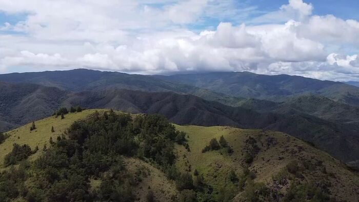 Nouvelle-Calédonie terre de chasse