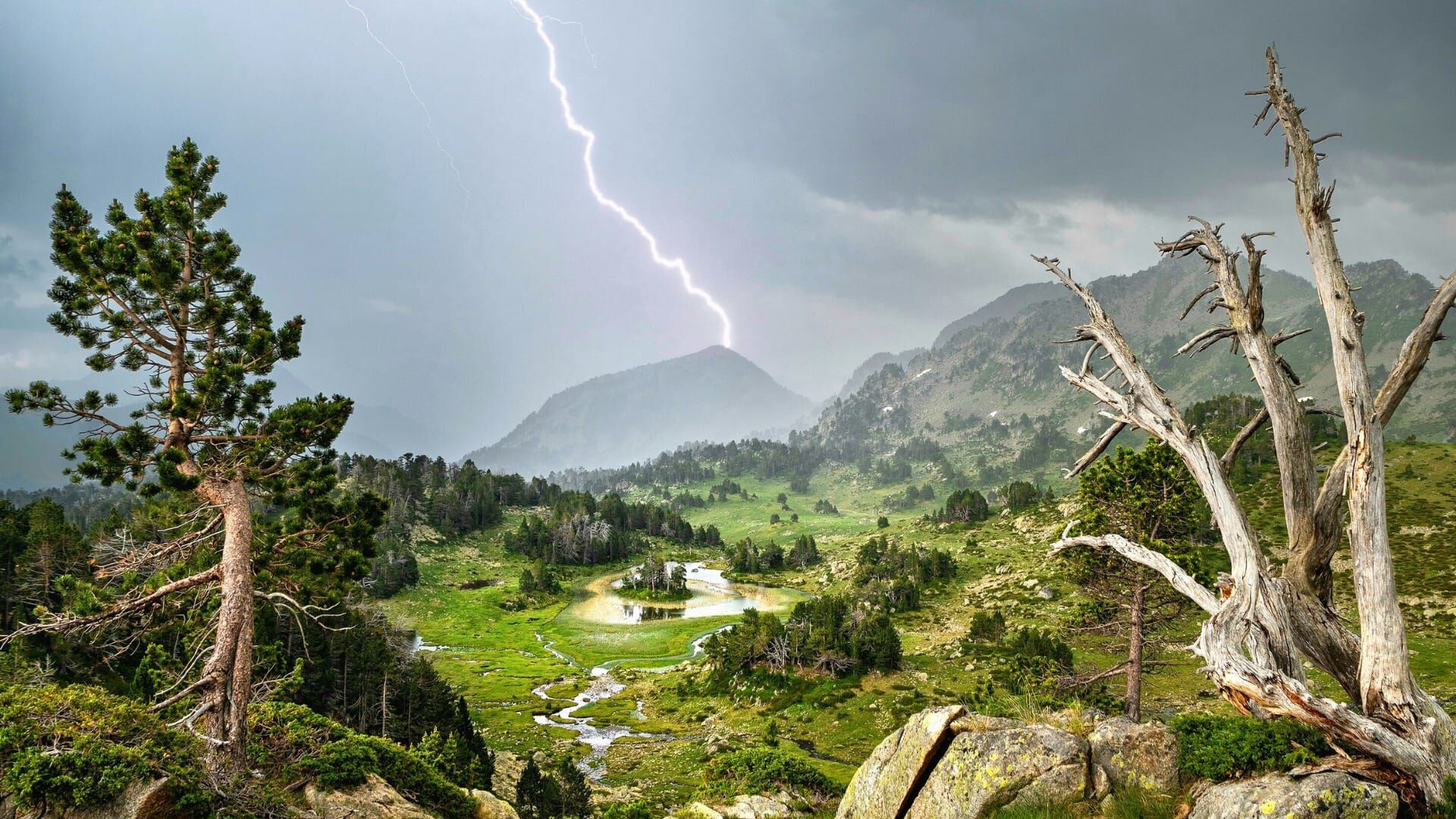 Sur les traces de l'orage
