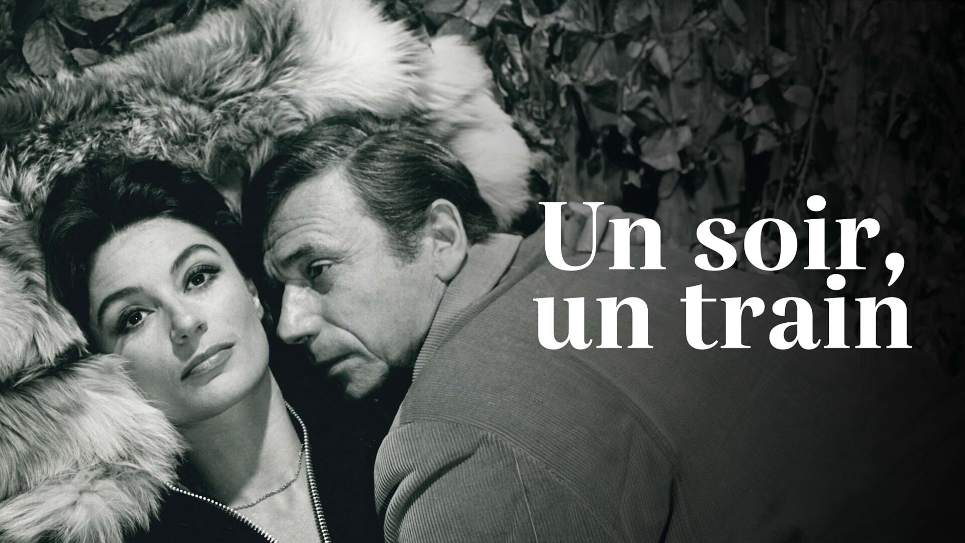 Un soir... un train