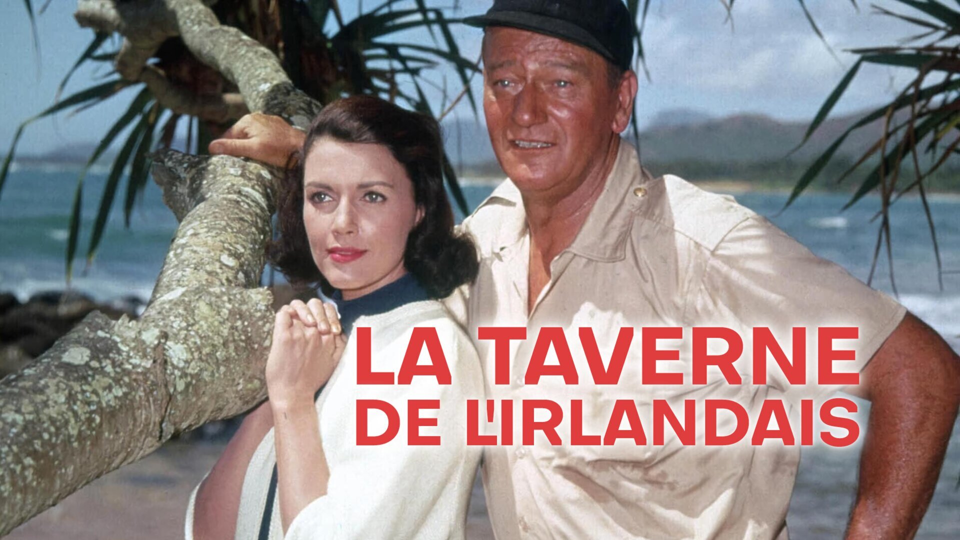 La taverne de l'Irlandais