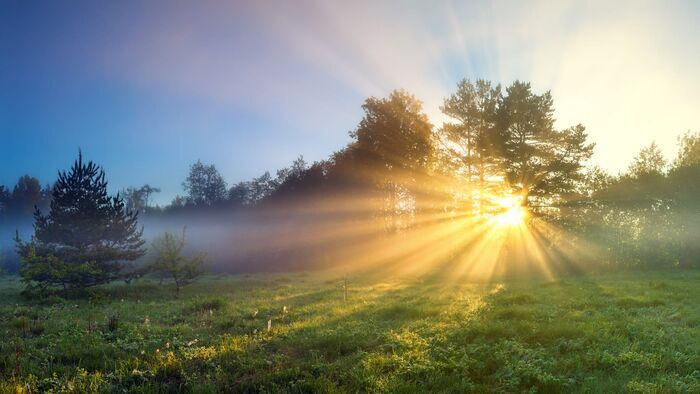 Les royaumes du soleil