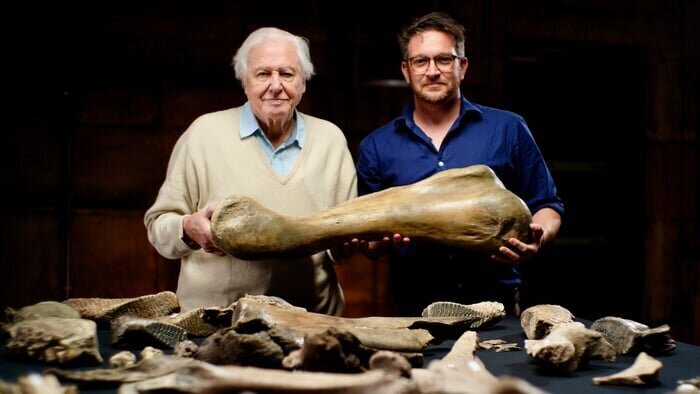 David Attenborough et le cimetière des mammouths