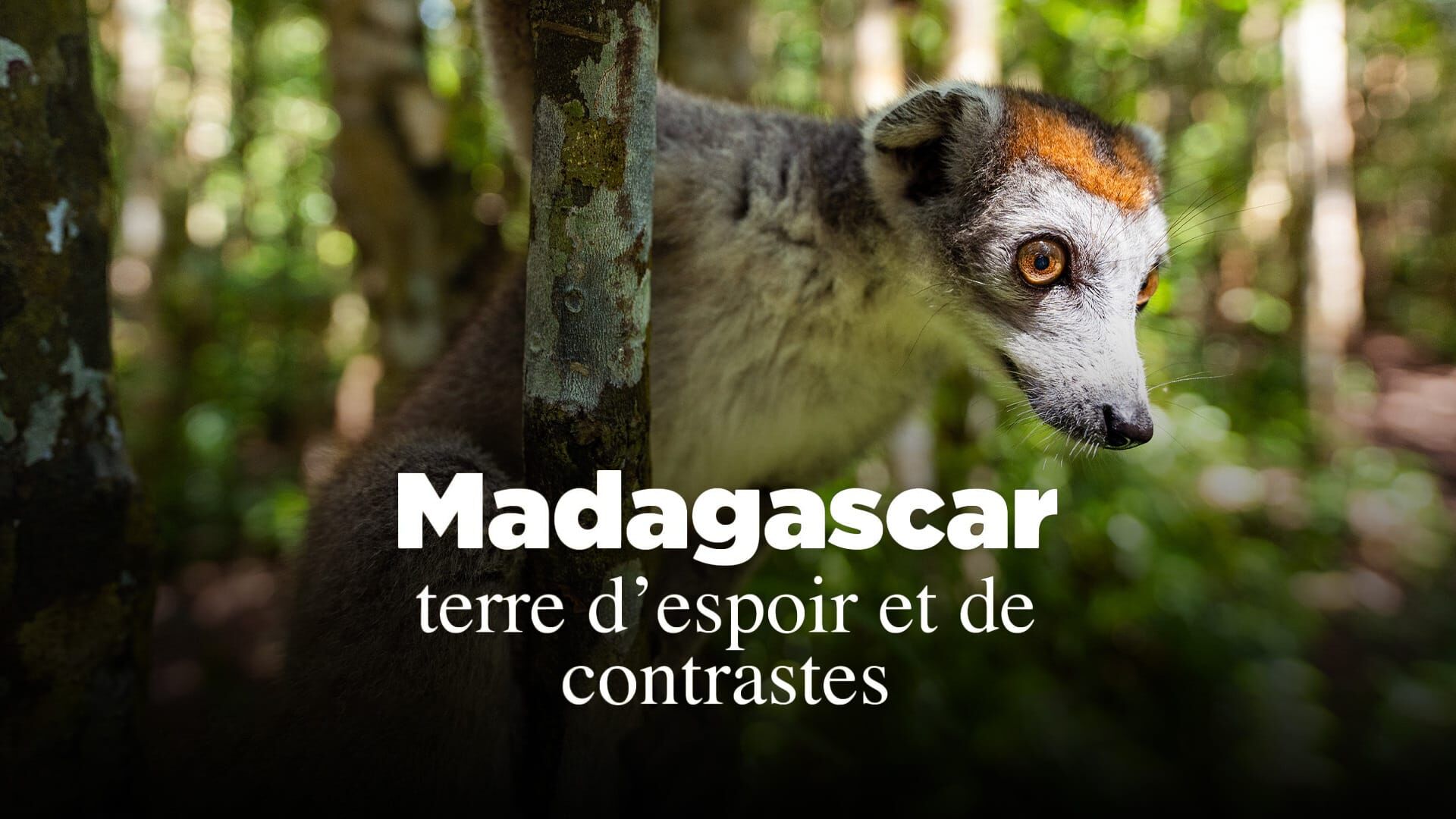 Madagascar, terre d'espoir et de contrastes
