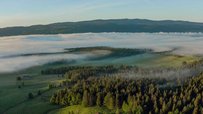 Le parc naturel Jura vaudois
