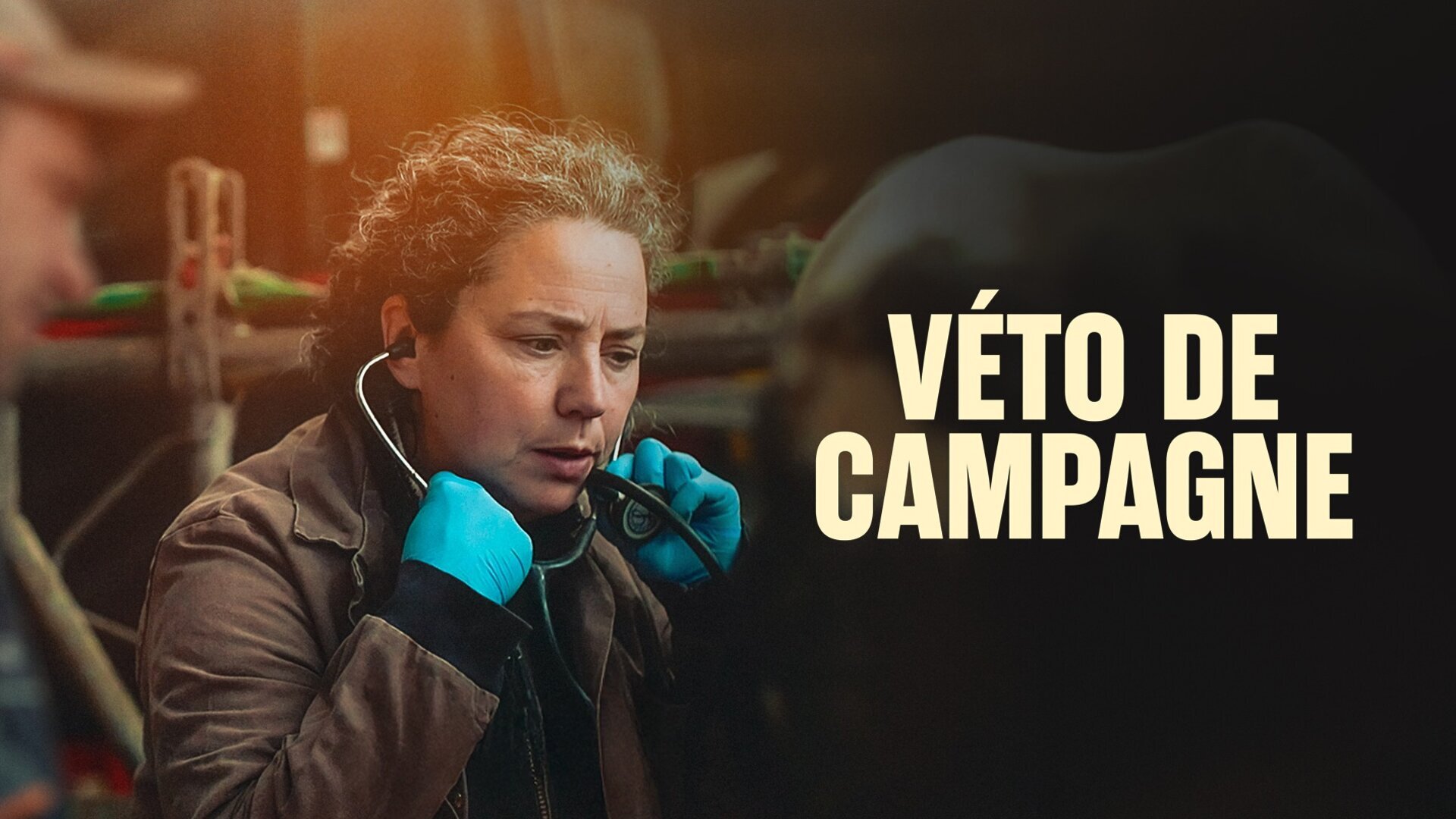 Véto de campagne