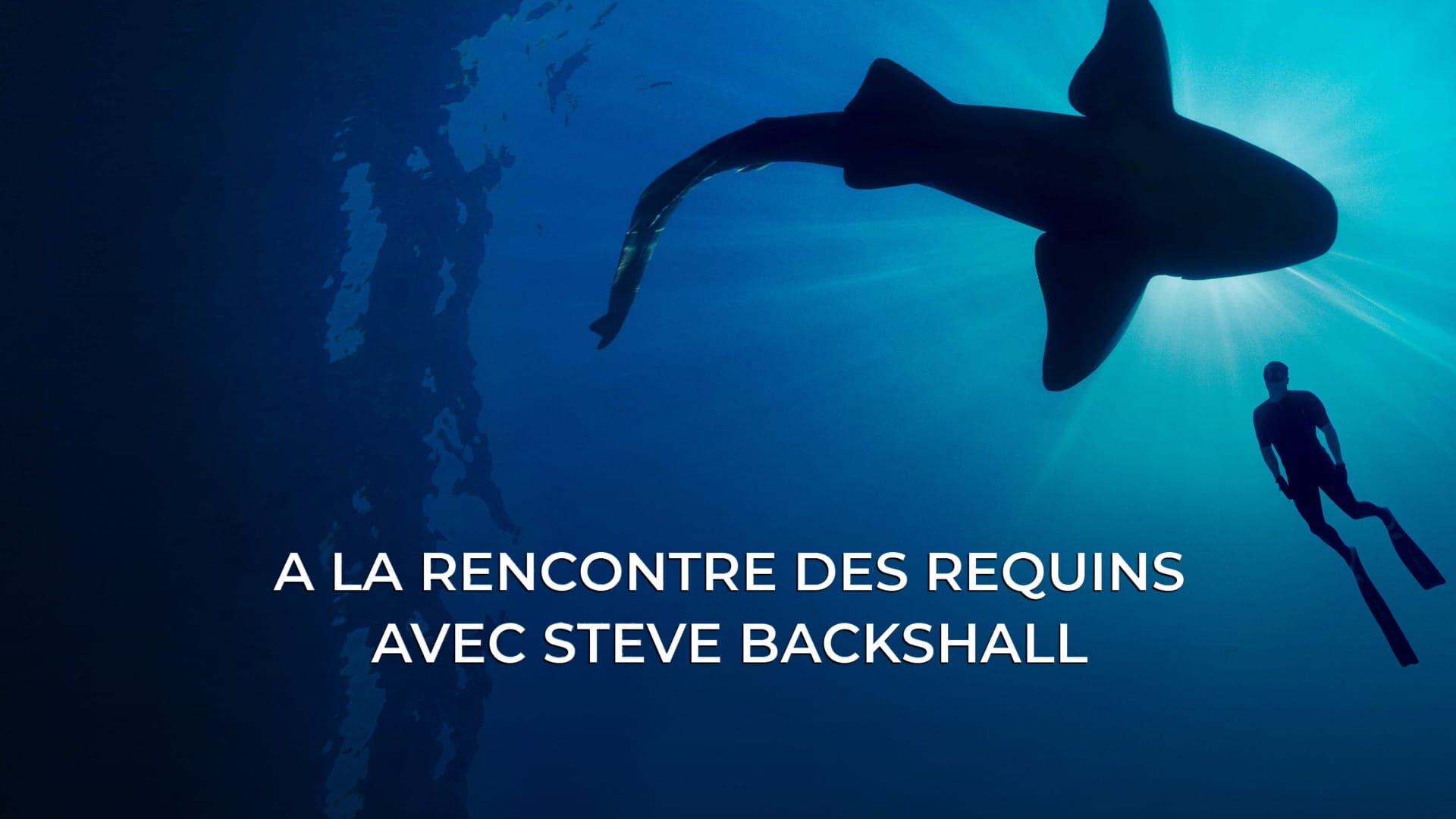 Océan Pacifique