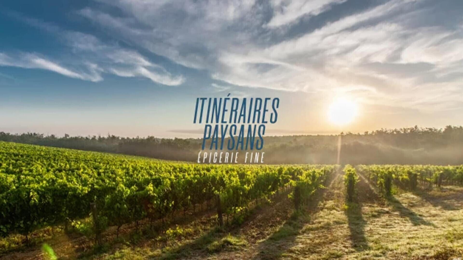 Benoit Simon, Nicolas Werkhoven