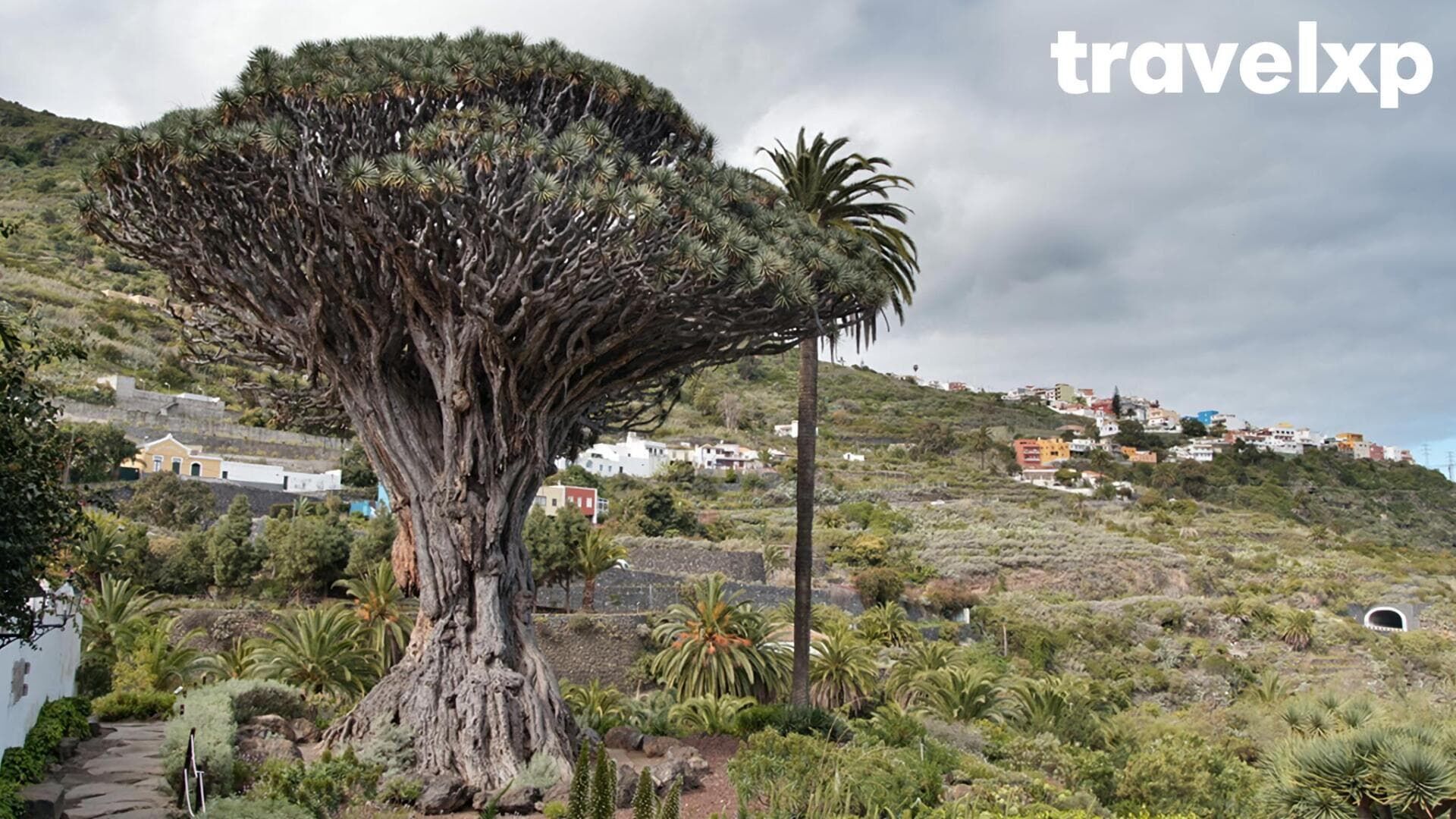 Tenerife2, Spain