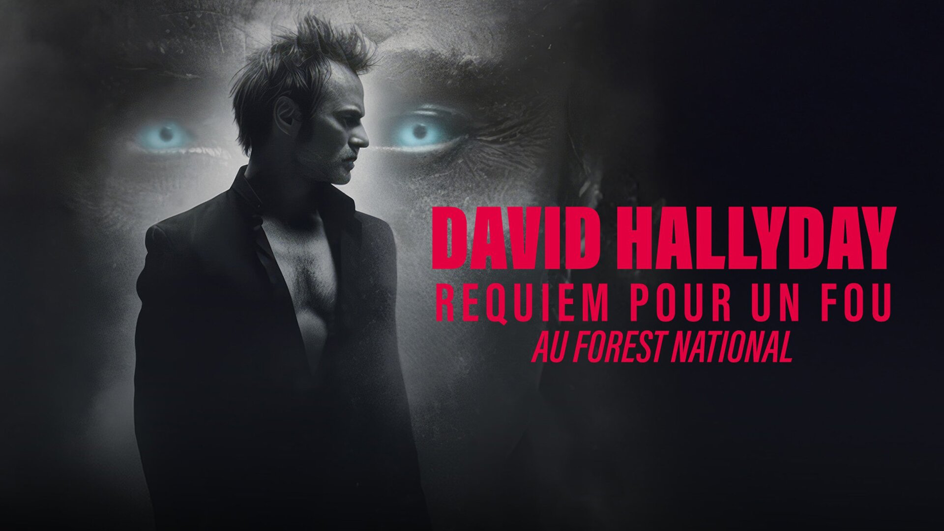 David Hallyday, requiem pour un fou