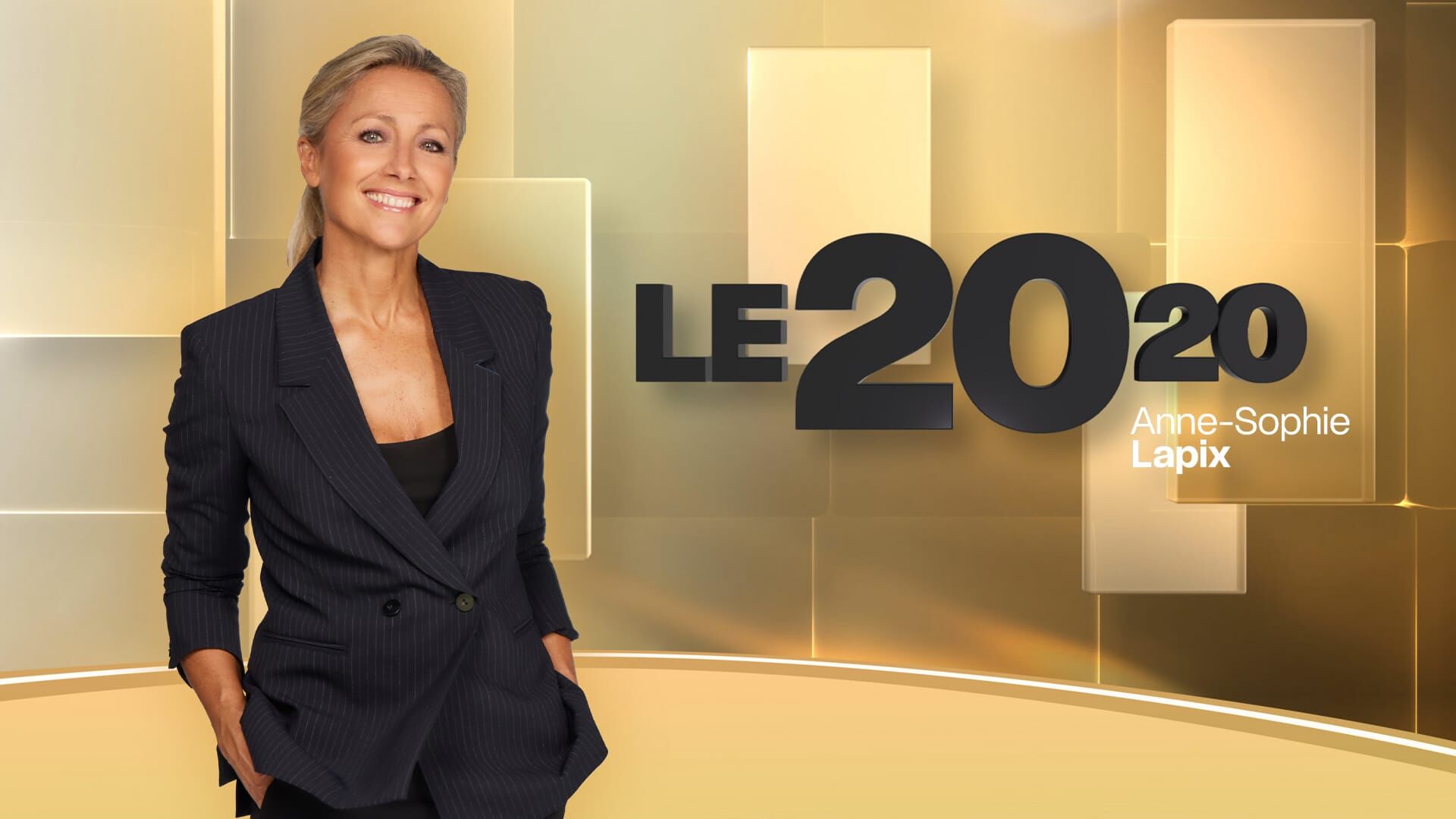 Le 2010, Anne-Sophie Lapix
