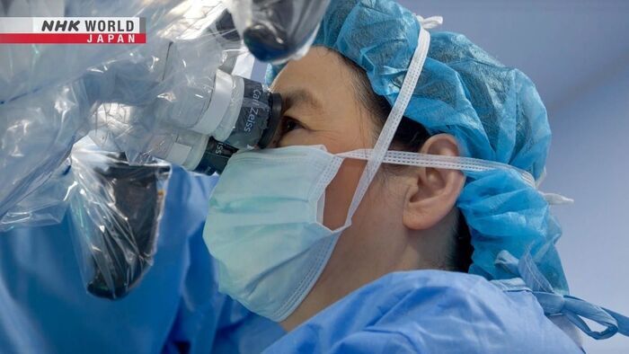 Pioneering Neurosurgeon: Kato Yoko