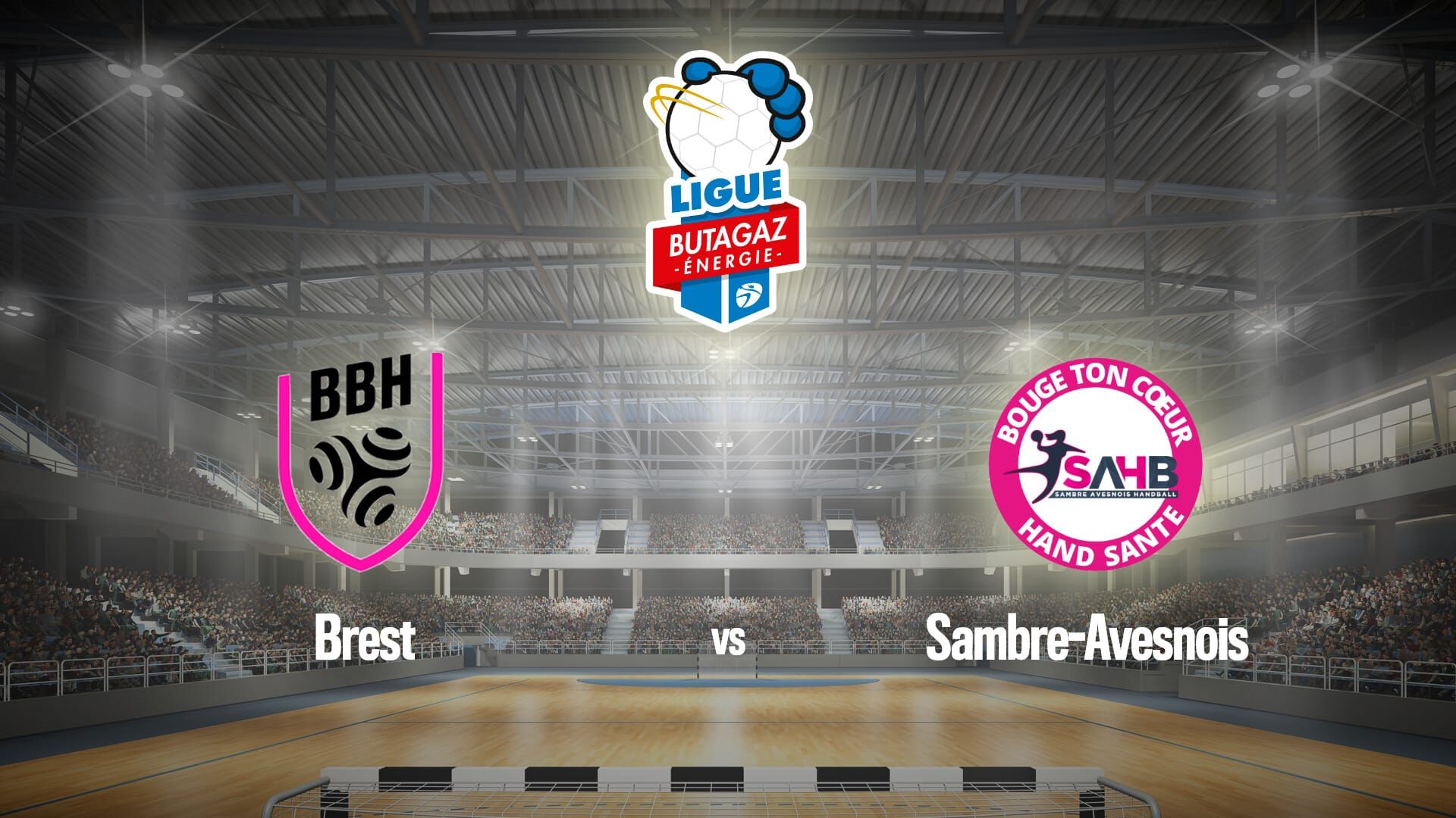 Handball : Championnat de France féminin