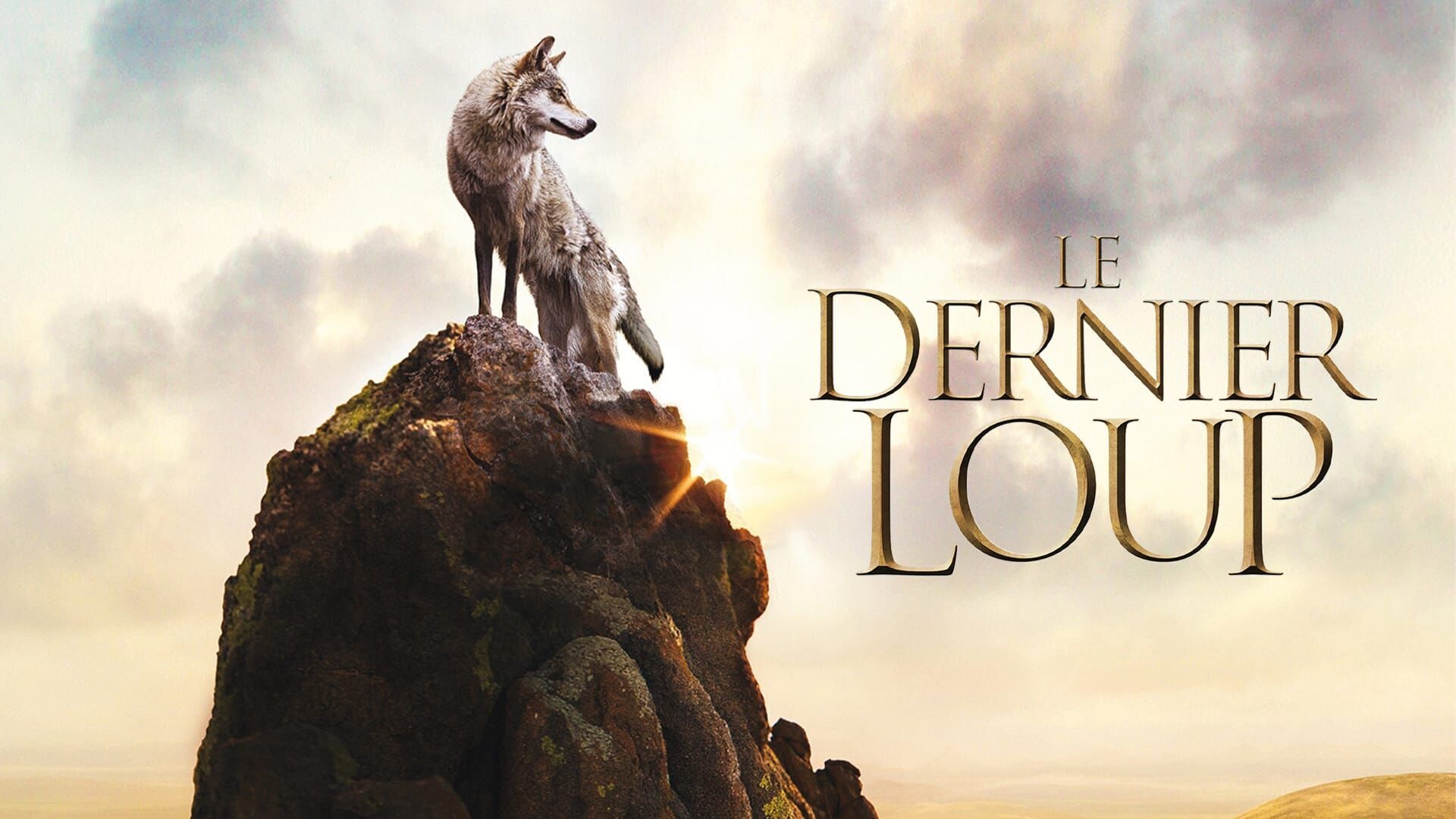 Le dernier loup