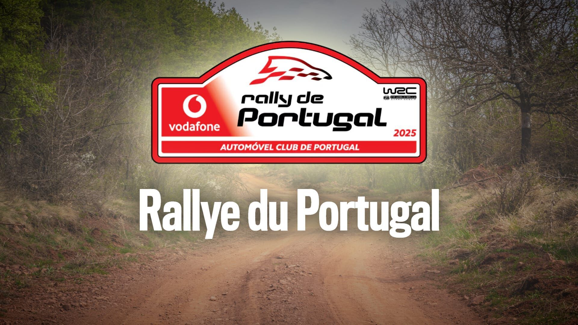 Rallye : WRC, Rallye du Portugal
