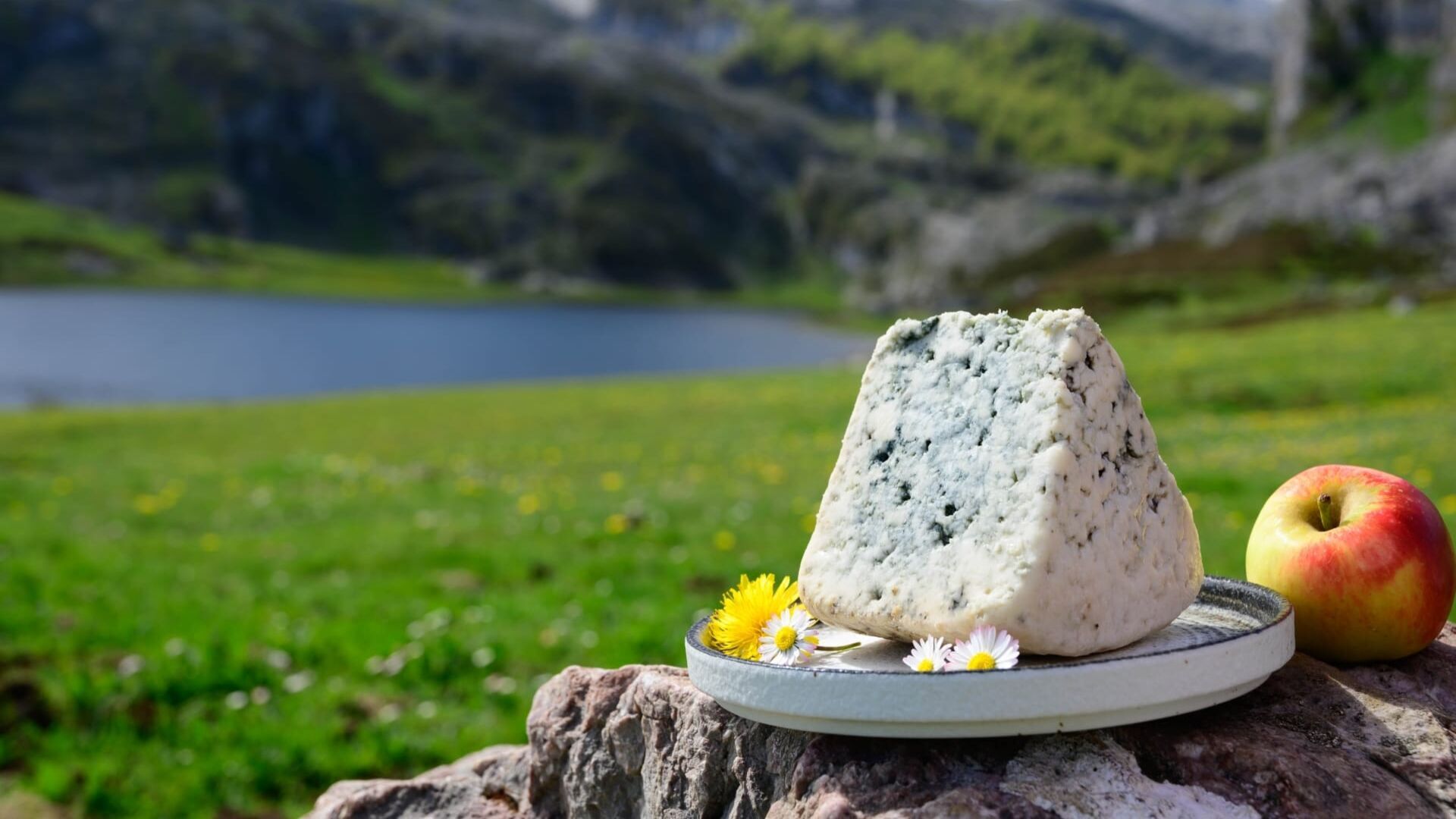Le cabrales, un fromage espagnol en danger