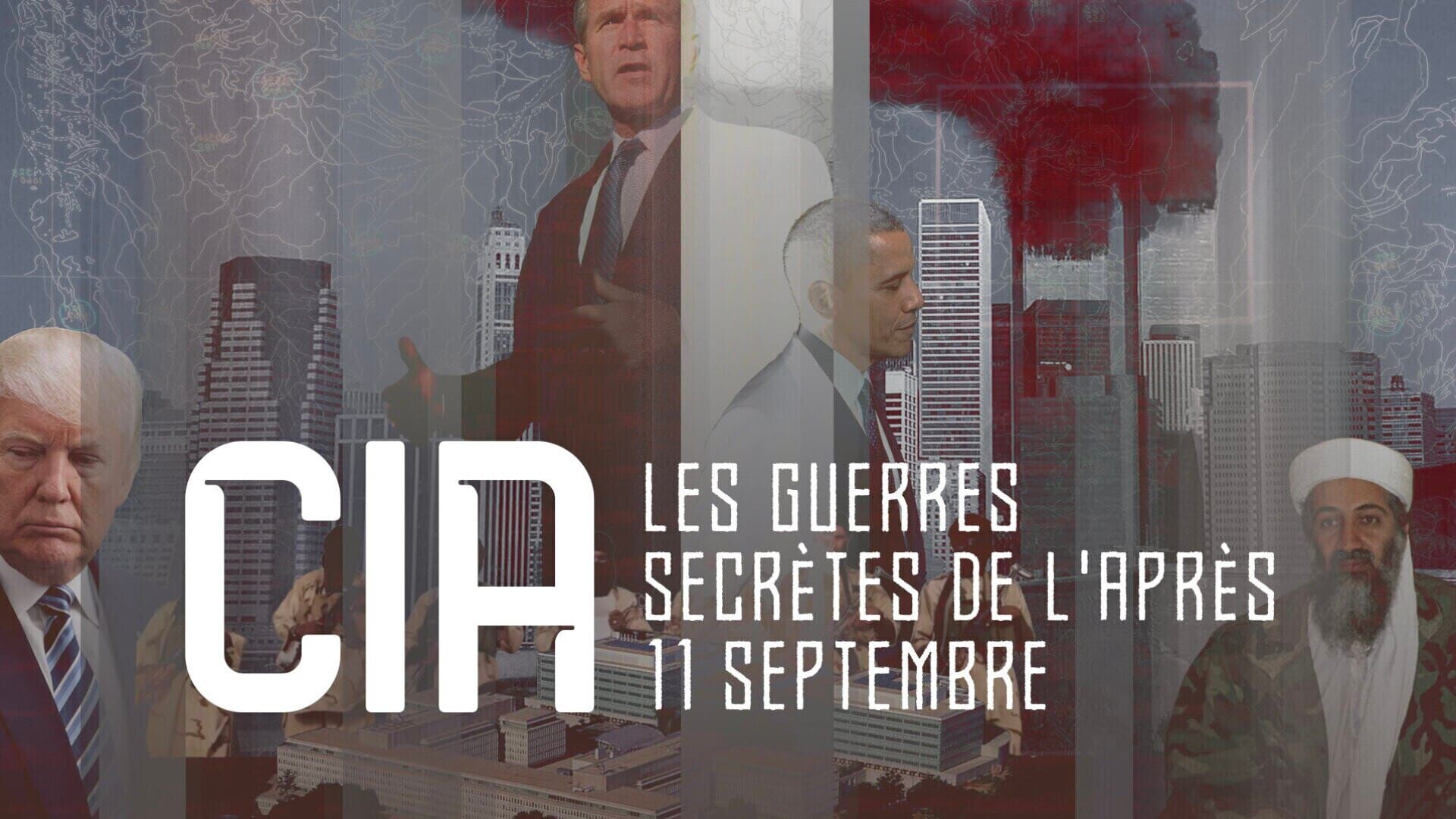 La guerre contre la terreur