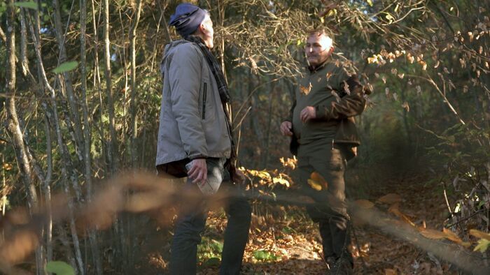 Combattre la déforestation illégale