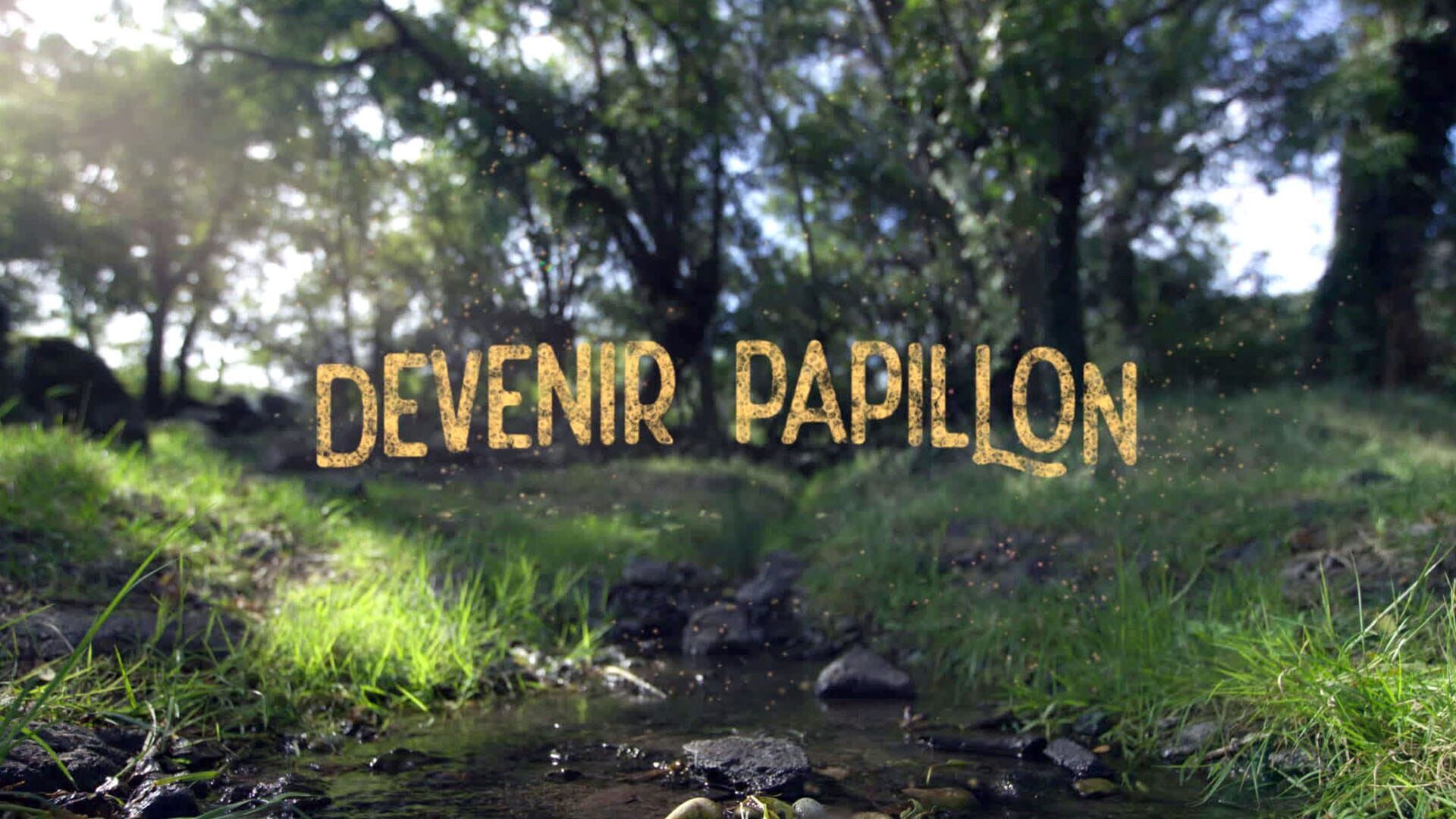 Devenir papillon