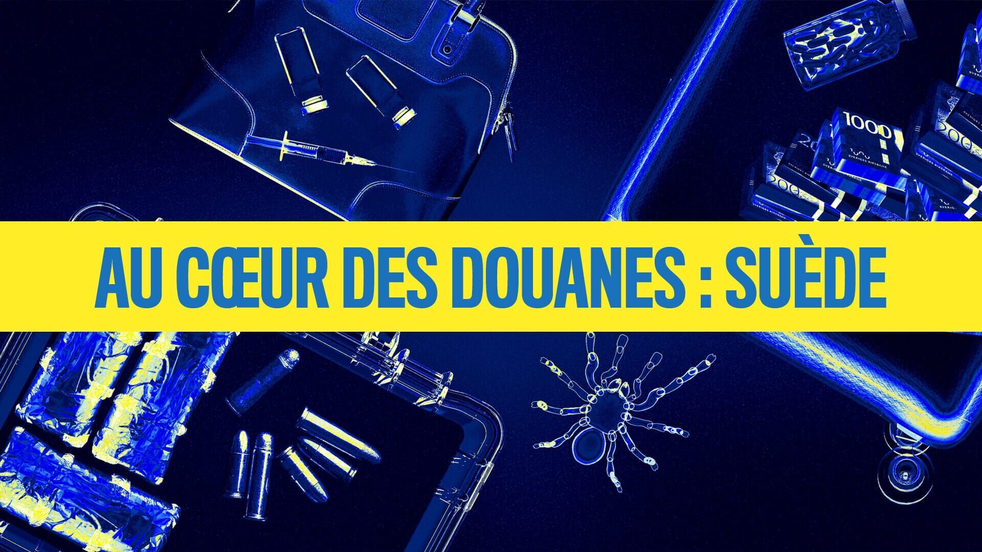 Au cœur des douanes : Suède