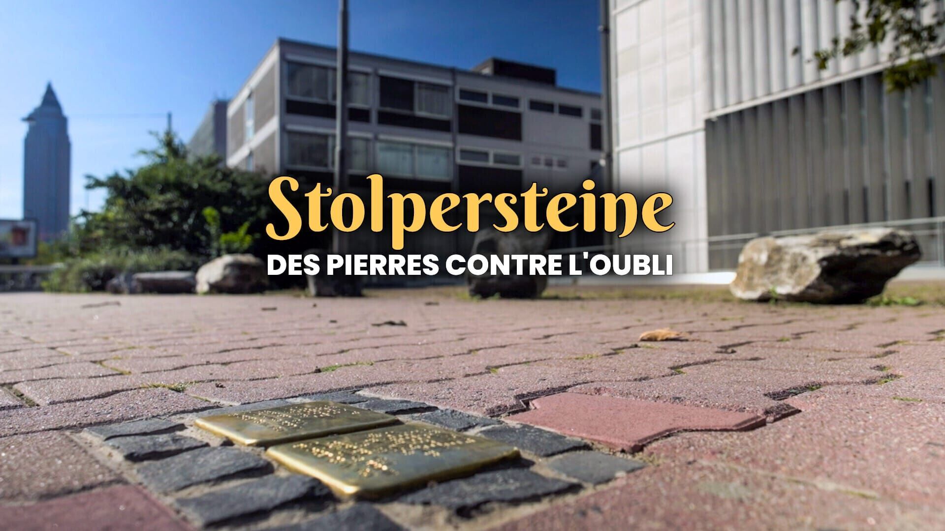 Stumbling Stones - Lest We Forget