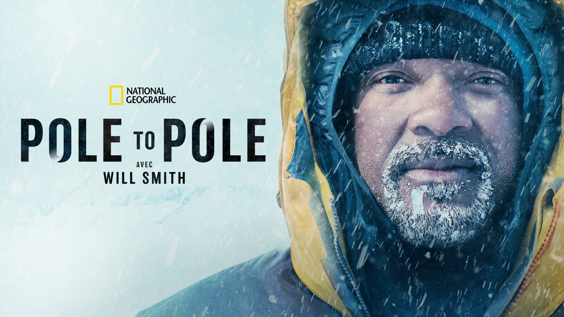 À la recherche de l'anaconda