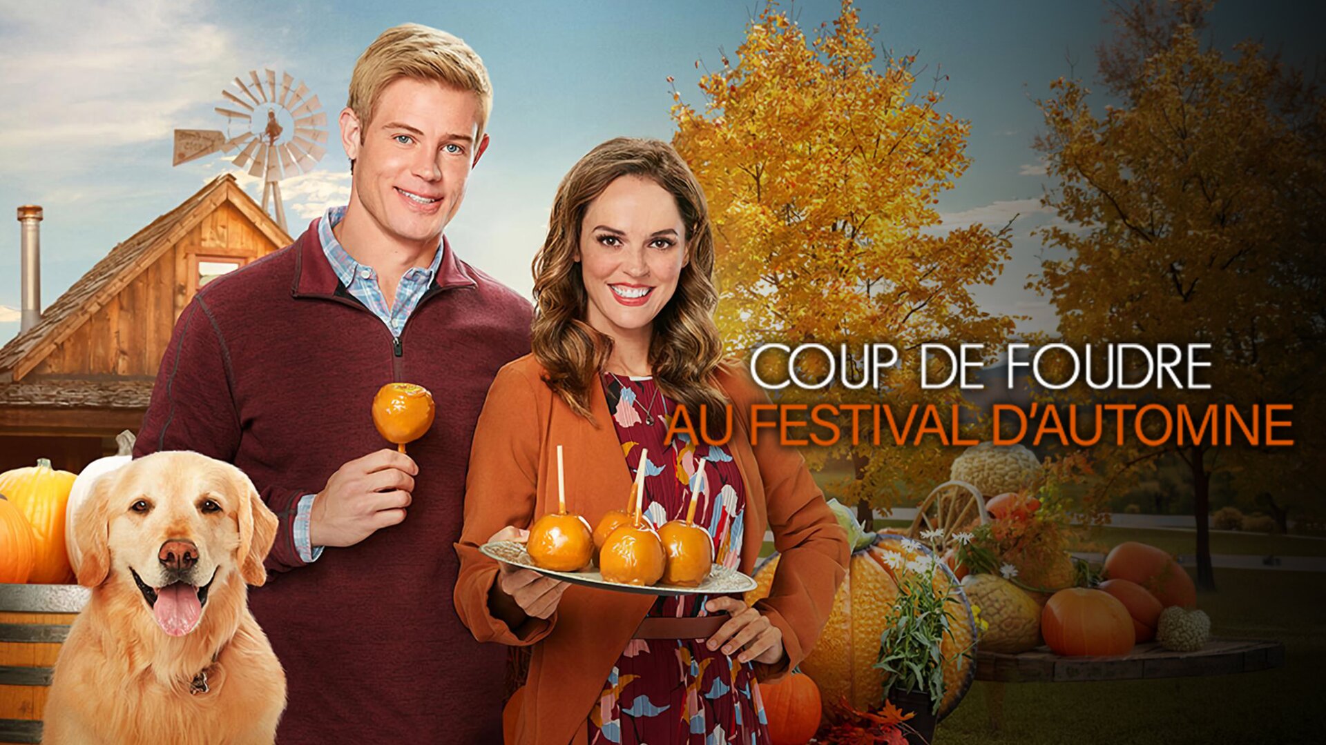 Coup de foudre au festival d'automne