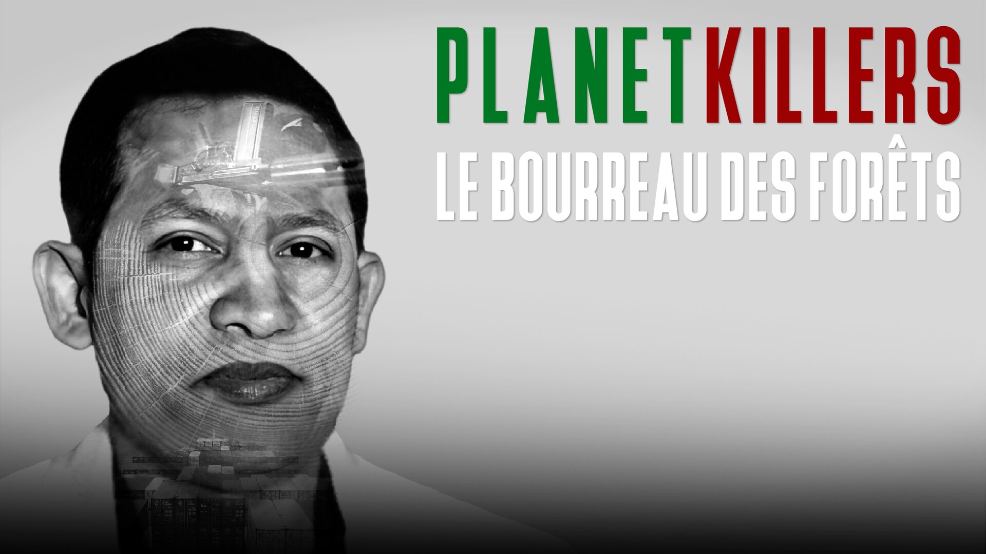 Le bourreau des forêts