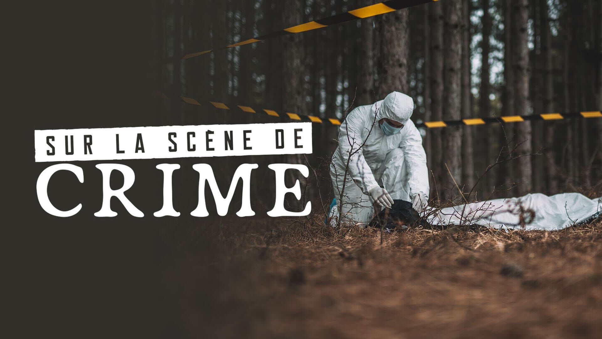 Découverte macabre - L'affaire Louvet